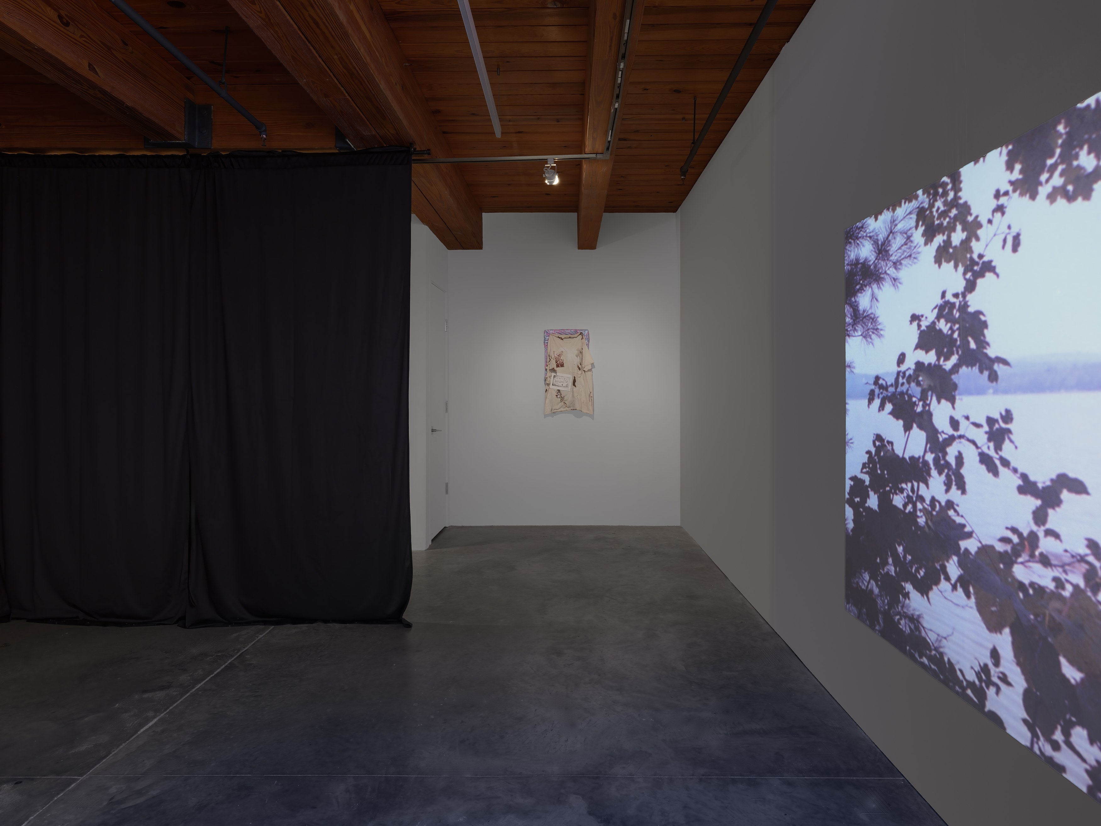 E. Jane, Cryptid or let the body be at anonymous gallery, photo 8
