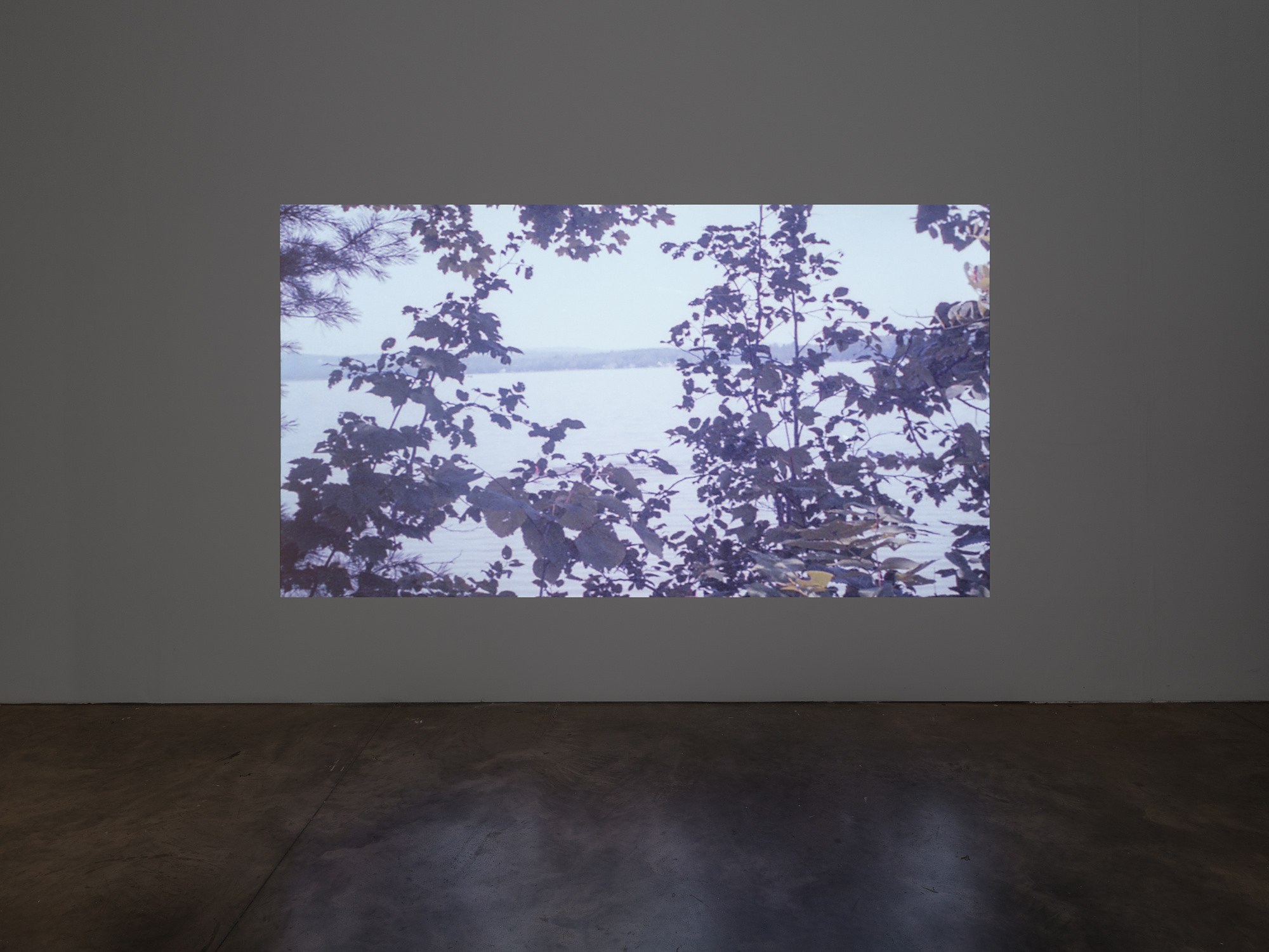 E. Jane, Cryptid or let the body be at anonymous gallery, photo 17