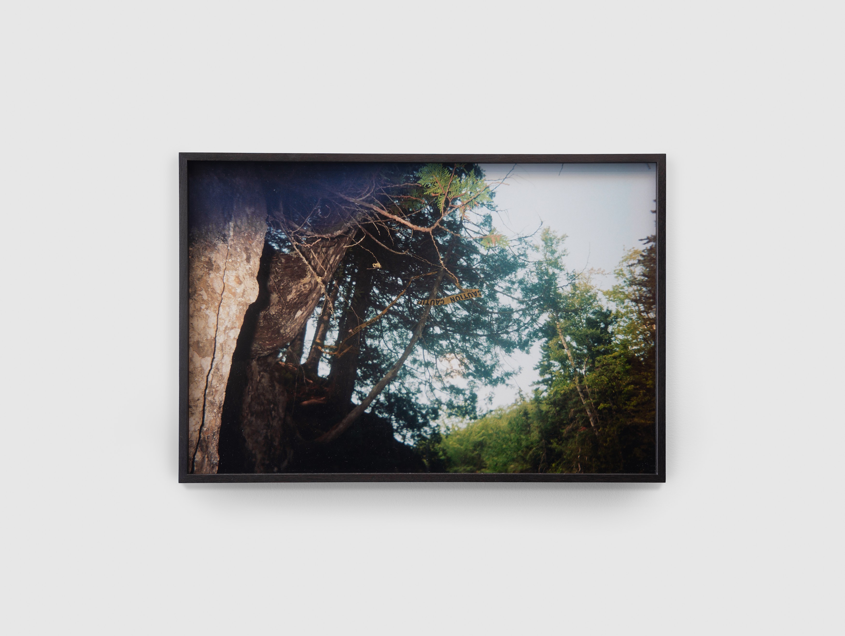 E. Jane, Cryptid or let the body be at anonymous gallery, photo 13