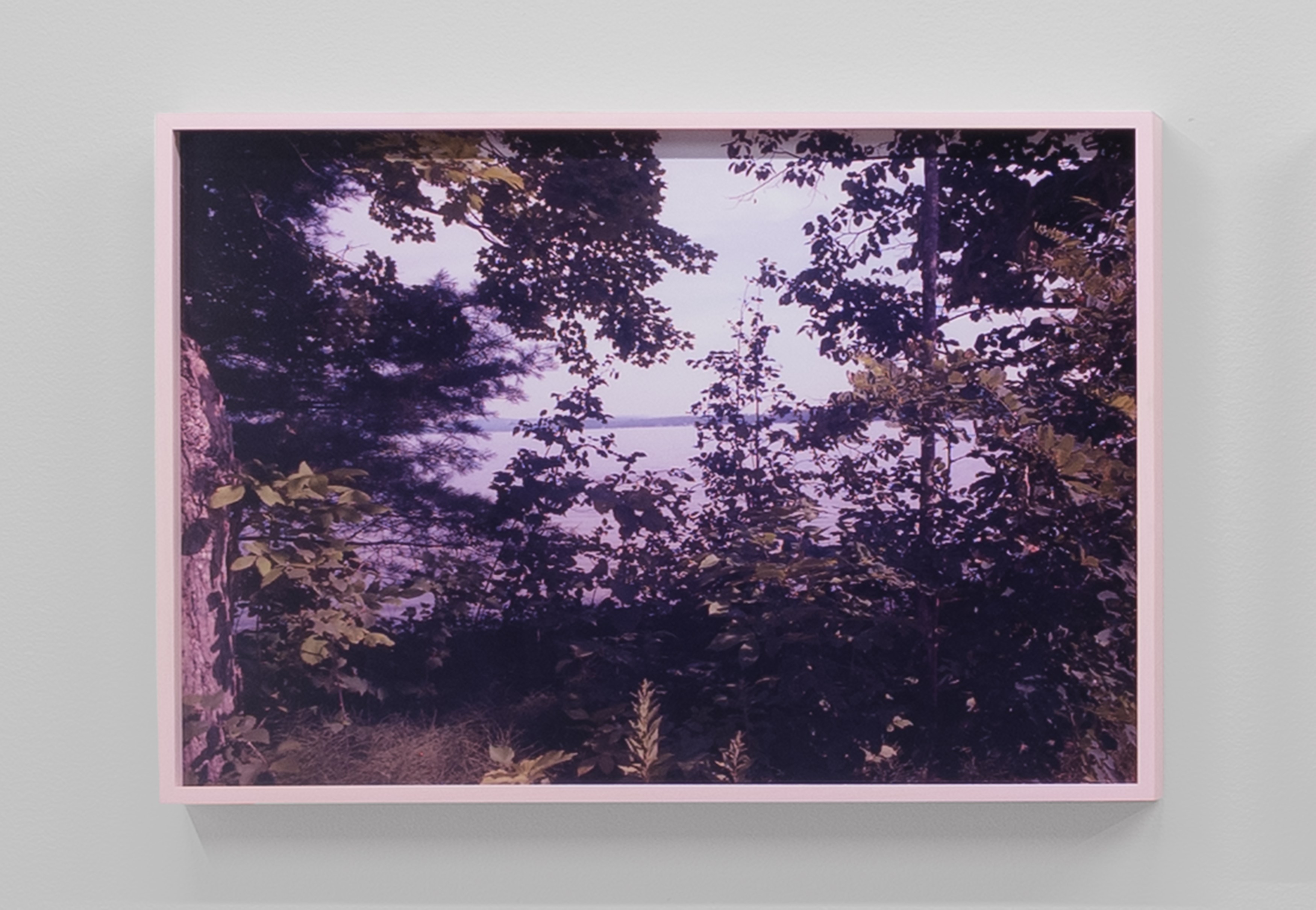 E. Jane, Cryptid or let the body be at anonymous gallery, photo 18