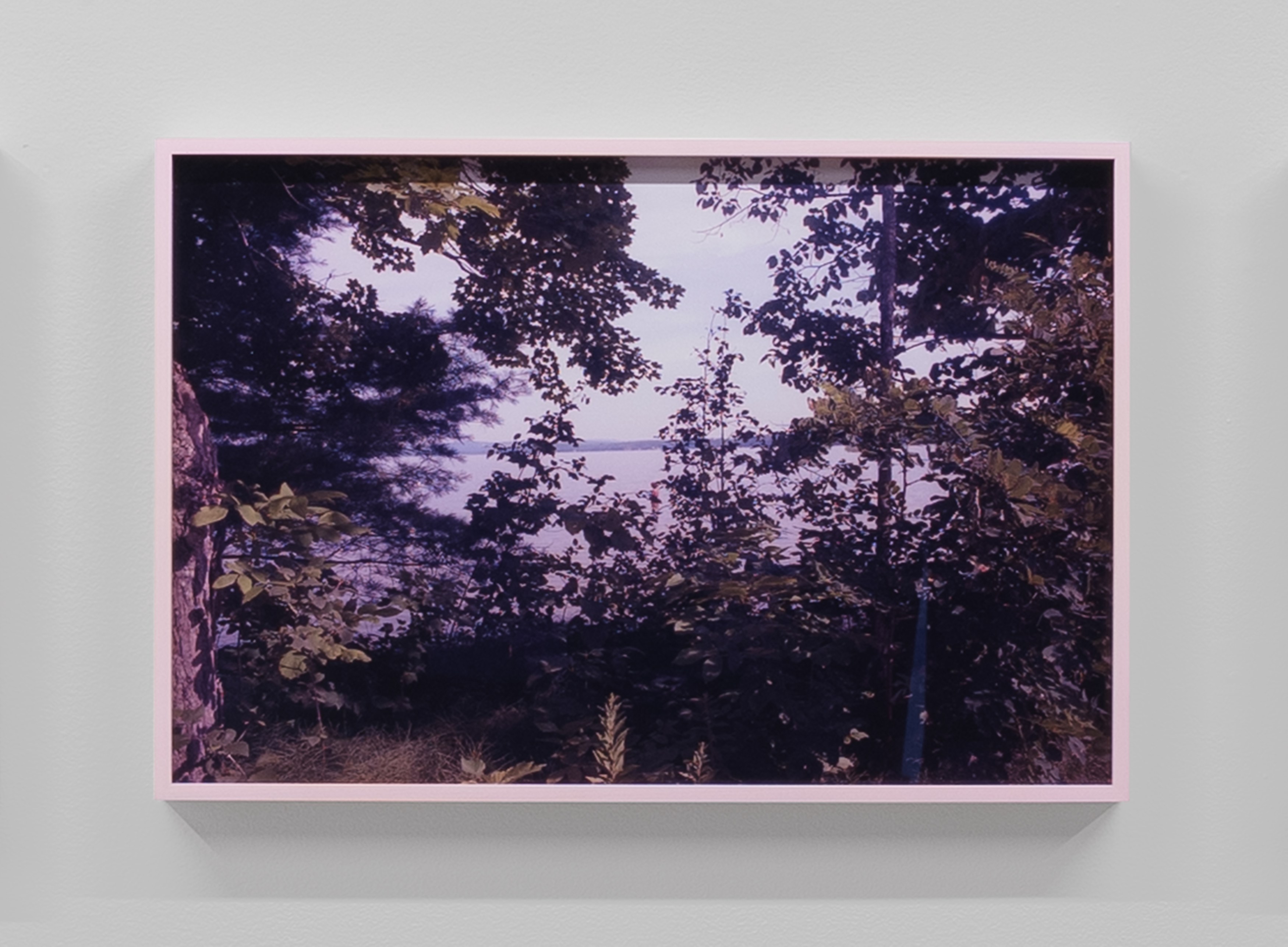 E. Jane, Cryptid or let the body be at anonymous gallery, photo 19