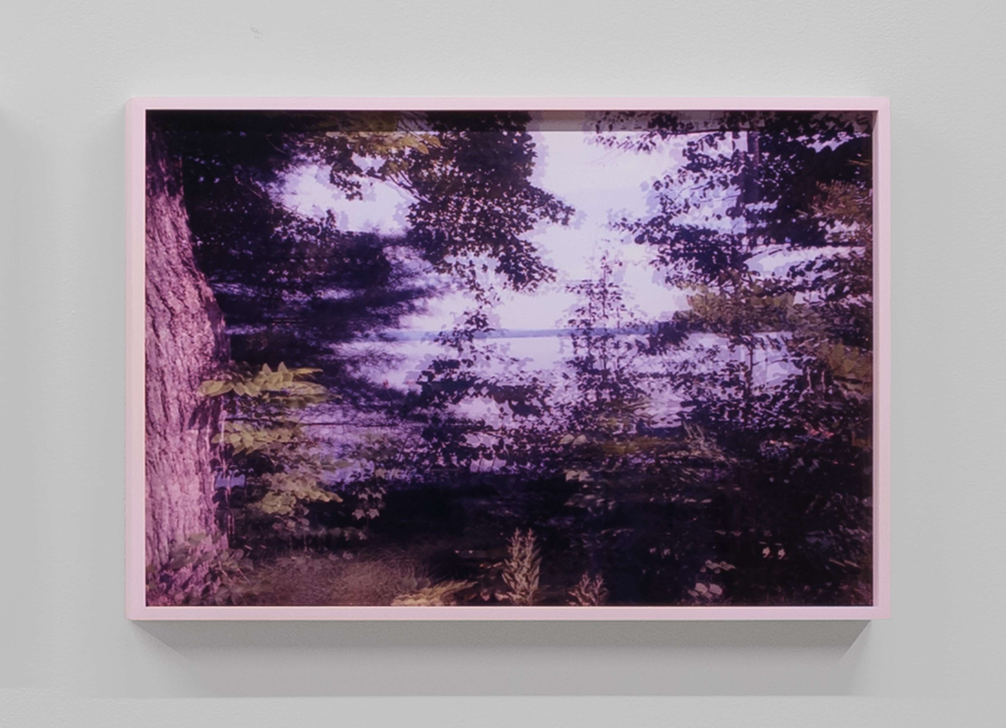 E. Jane, Cryptid or let the body be at anonymous gallery, photo 20