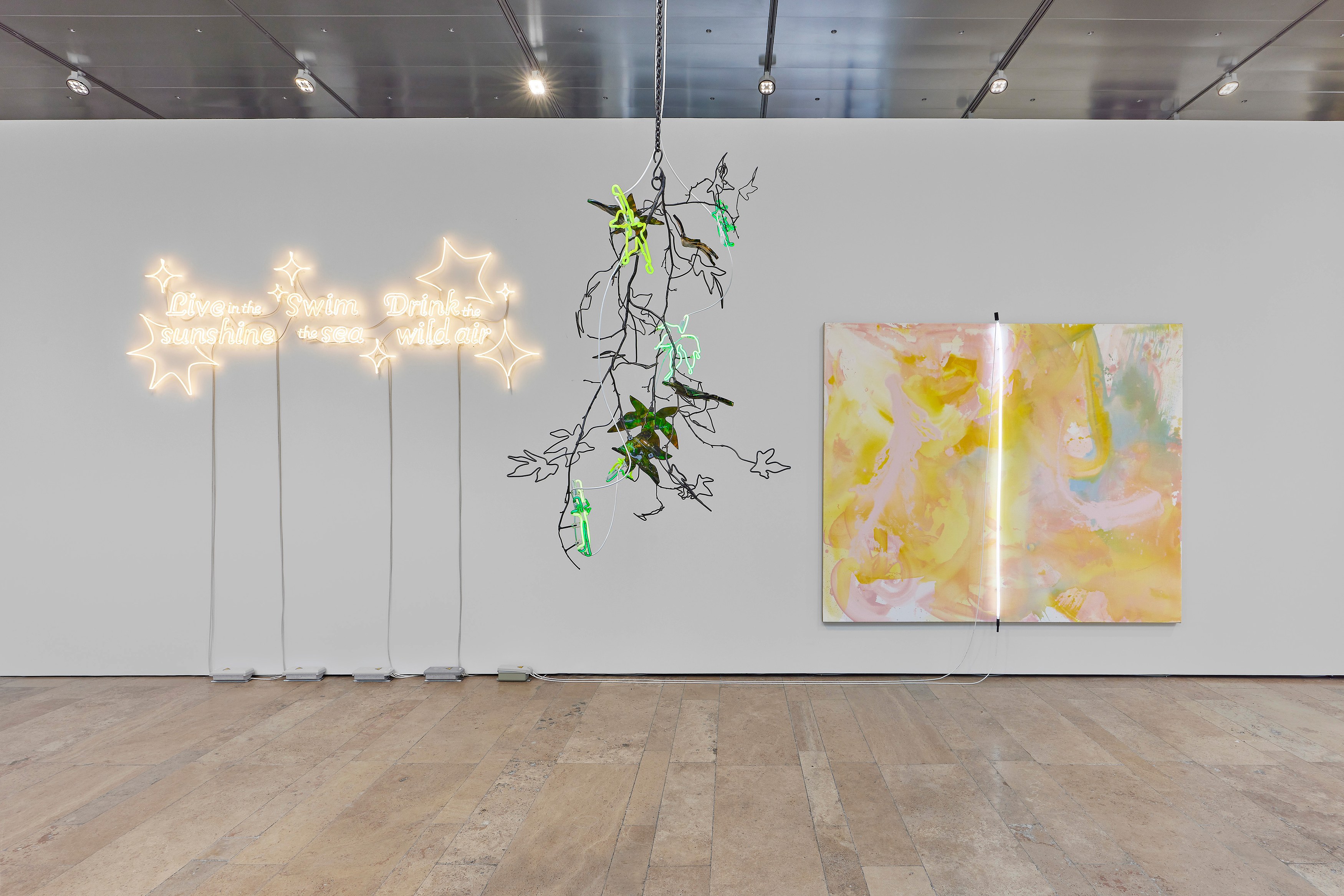Andrea Bowers, Mary Weatherford, Drink the Wild Air at Capitain Petzel, photo 9