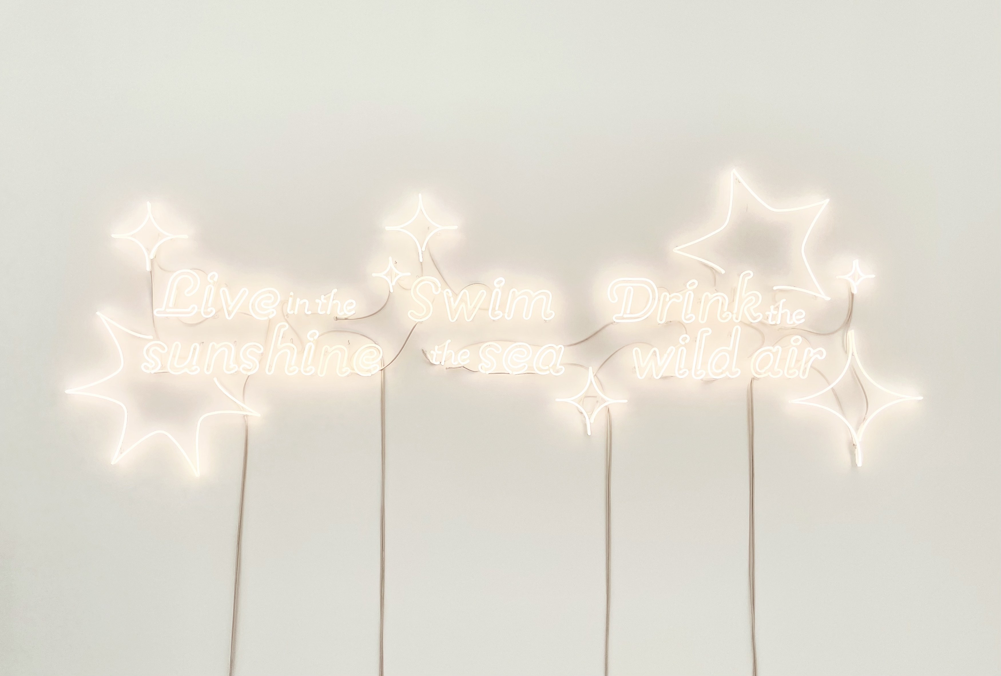 Andrea Bowers, Mary Weatherford, Drink the Wild Air at Capitain Petzel, photo 20