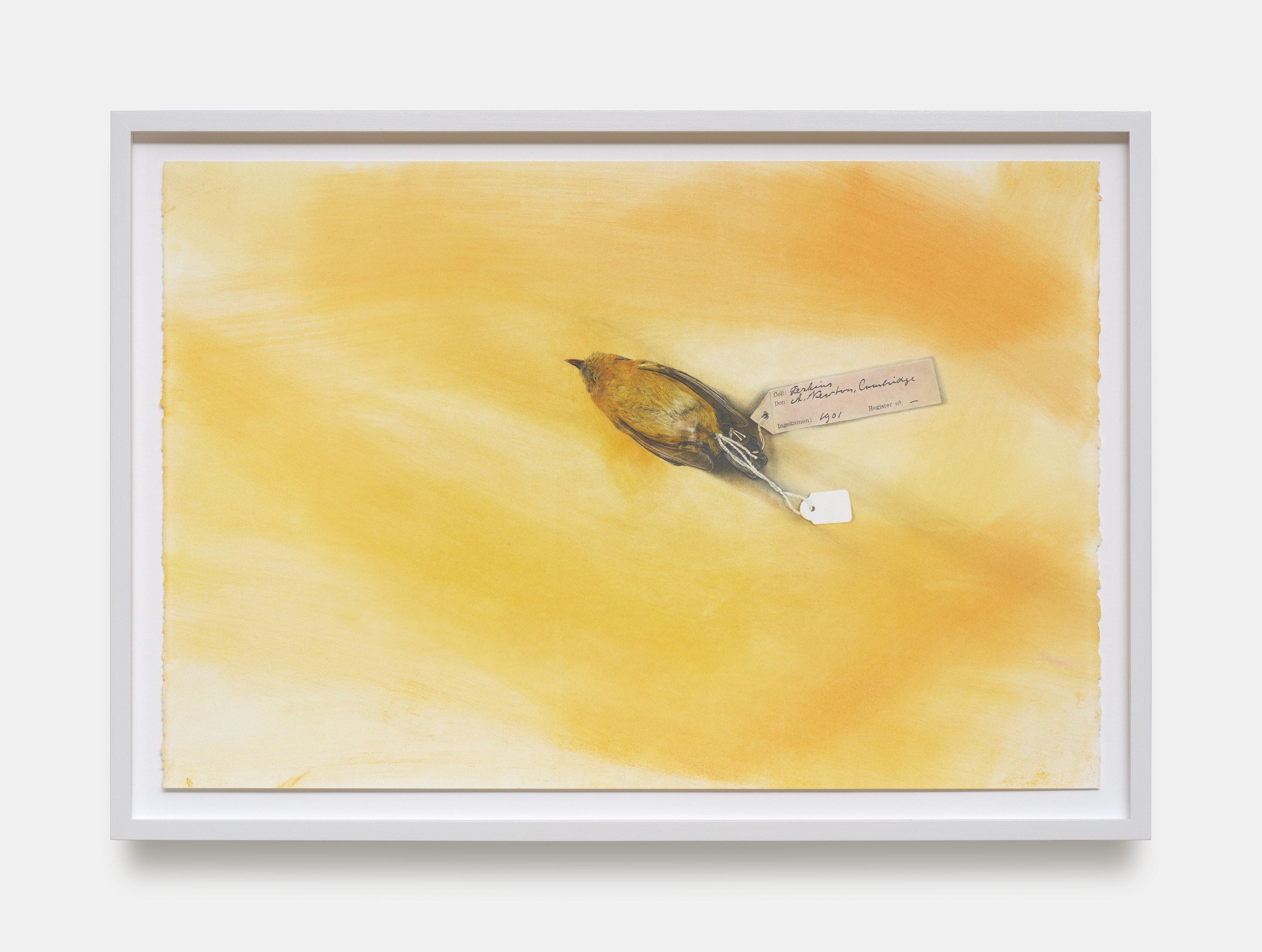 Andrea Bowers, Mary Weatherford, Drink the Wild Air at Capitain Petzel, photo 28