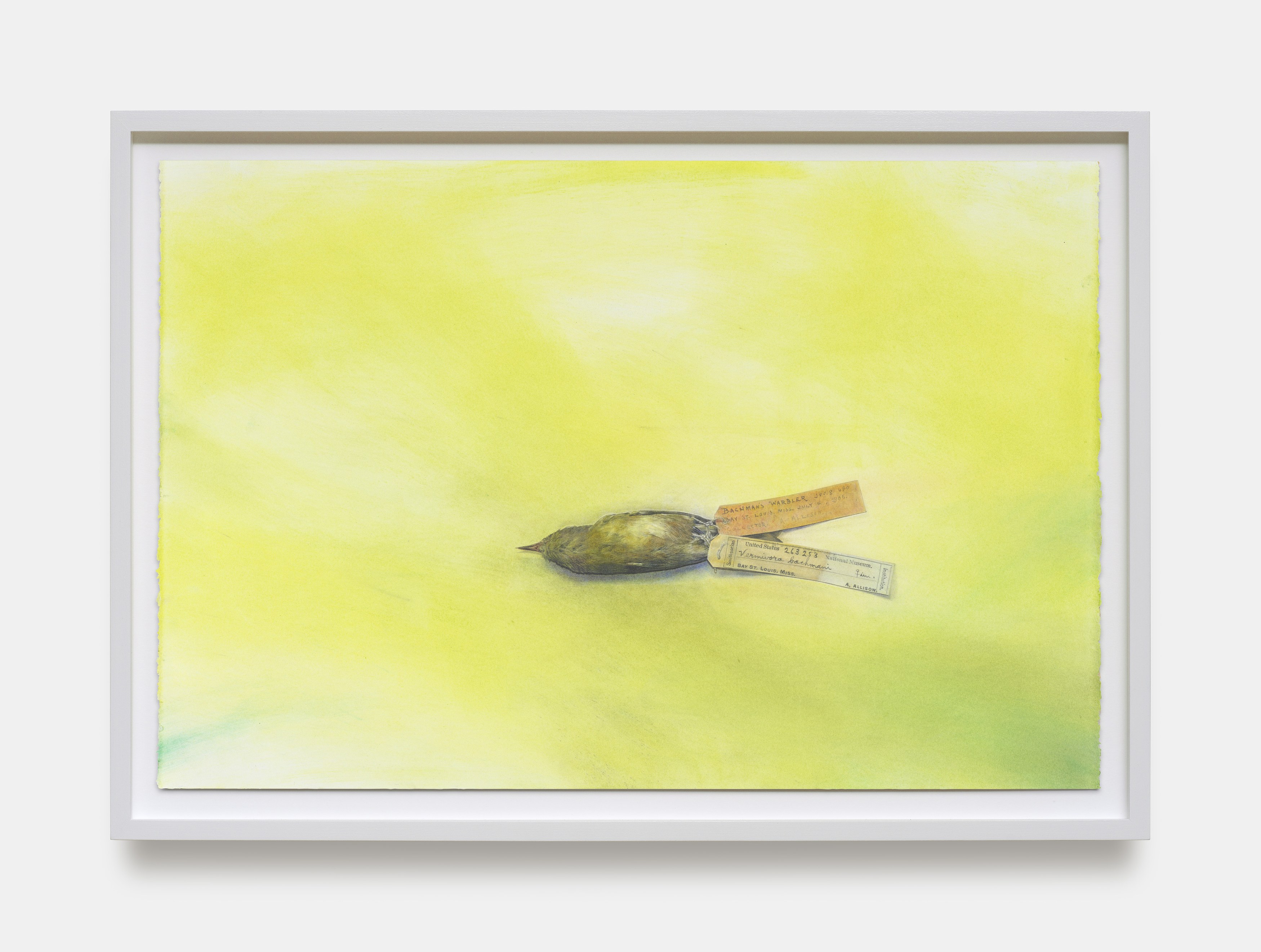 Andrea Bowers, Mary Weatherford, Drink the Wild Air at Capitain Petzel, photo 29