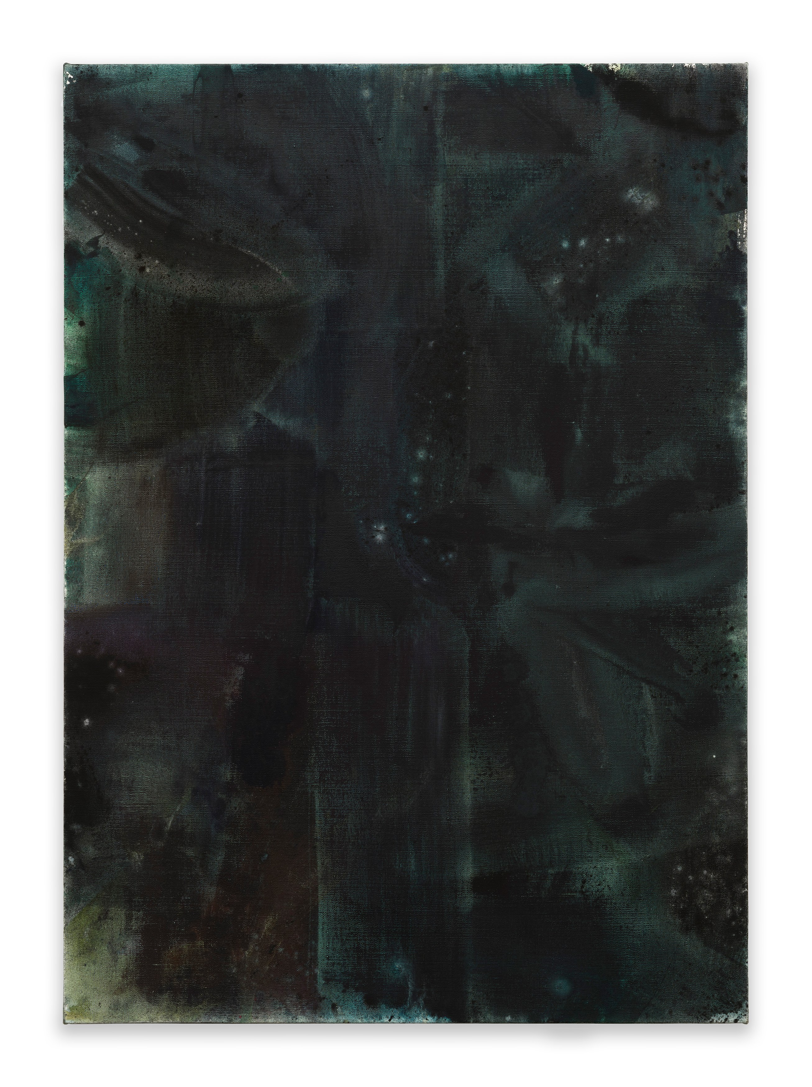 Andrea Bowers, Mary Weatherford, Drink the Wild Air at Capitain Petzel, photo 33
