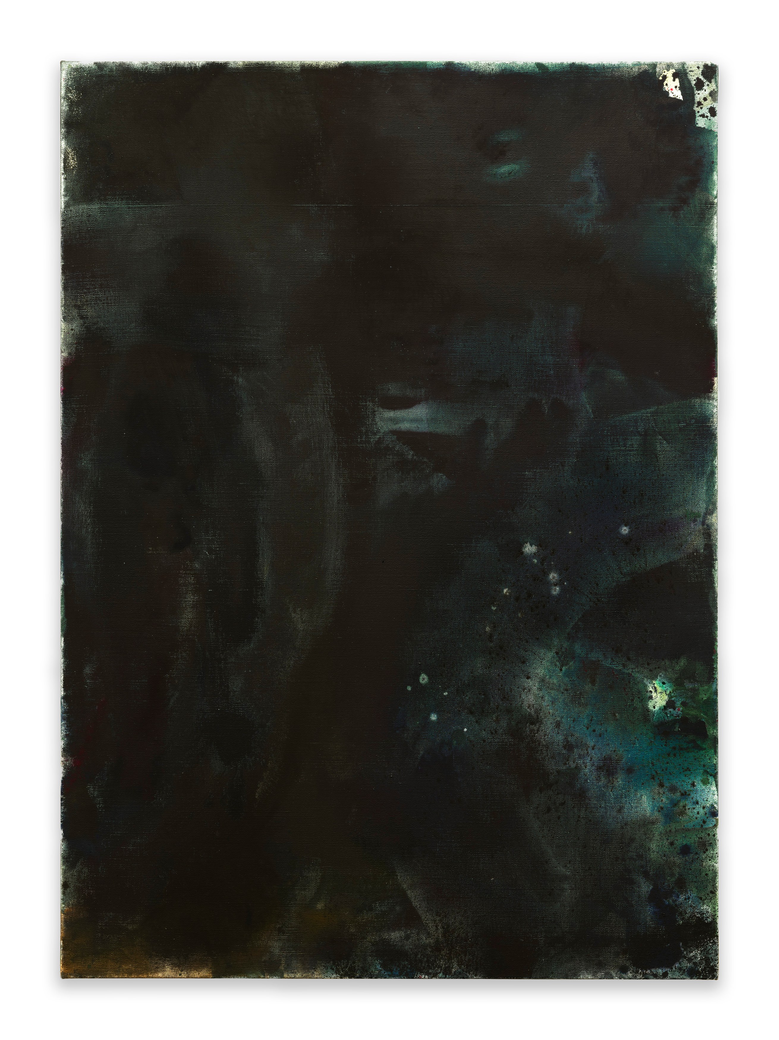 Andrea Bowers, Mary Weatherford, Drink the Wild Air at Capitain Petzel, photo 32