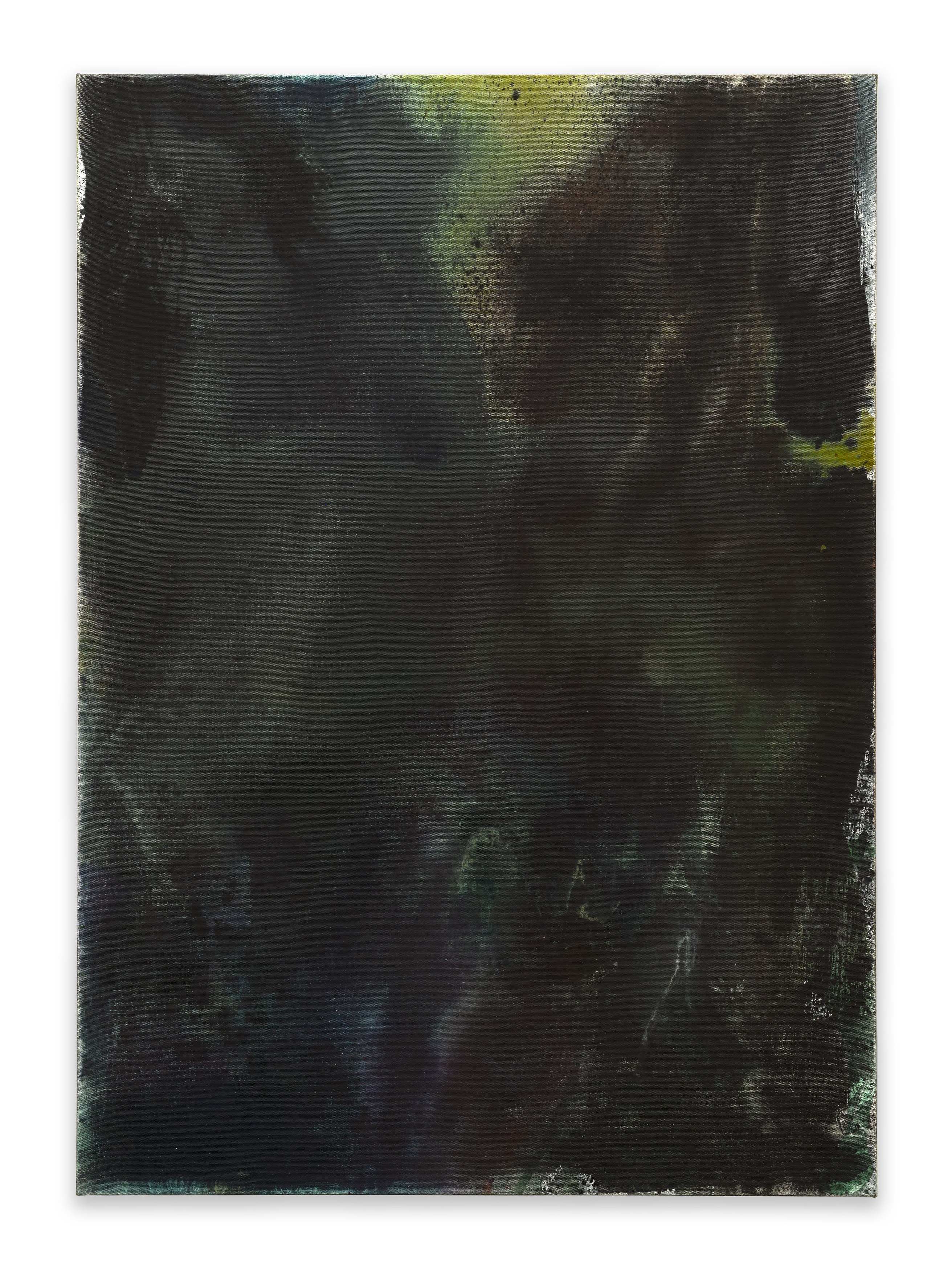 Andrea Bowers, Mary Weatherford, Drink the Wild Air at Capitain Petzel, photo 31