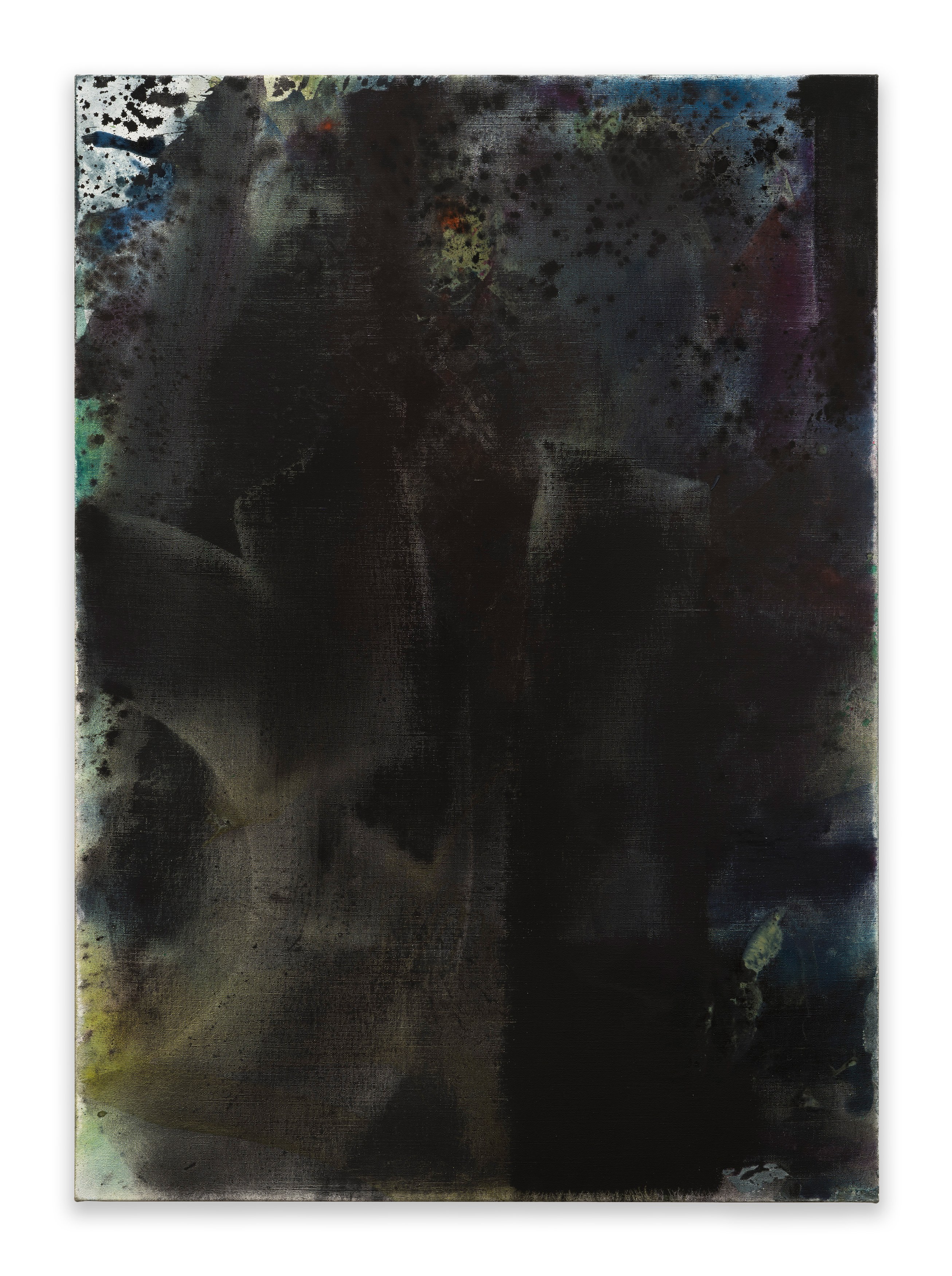 Andrea Bowers, Mary Weatherford, Drink the Wild Air at Capitain Petzel, photo 34