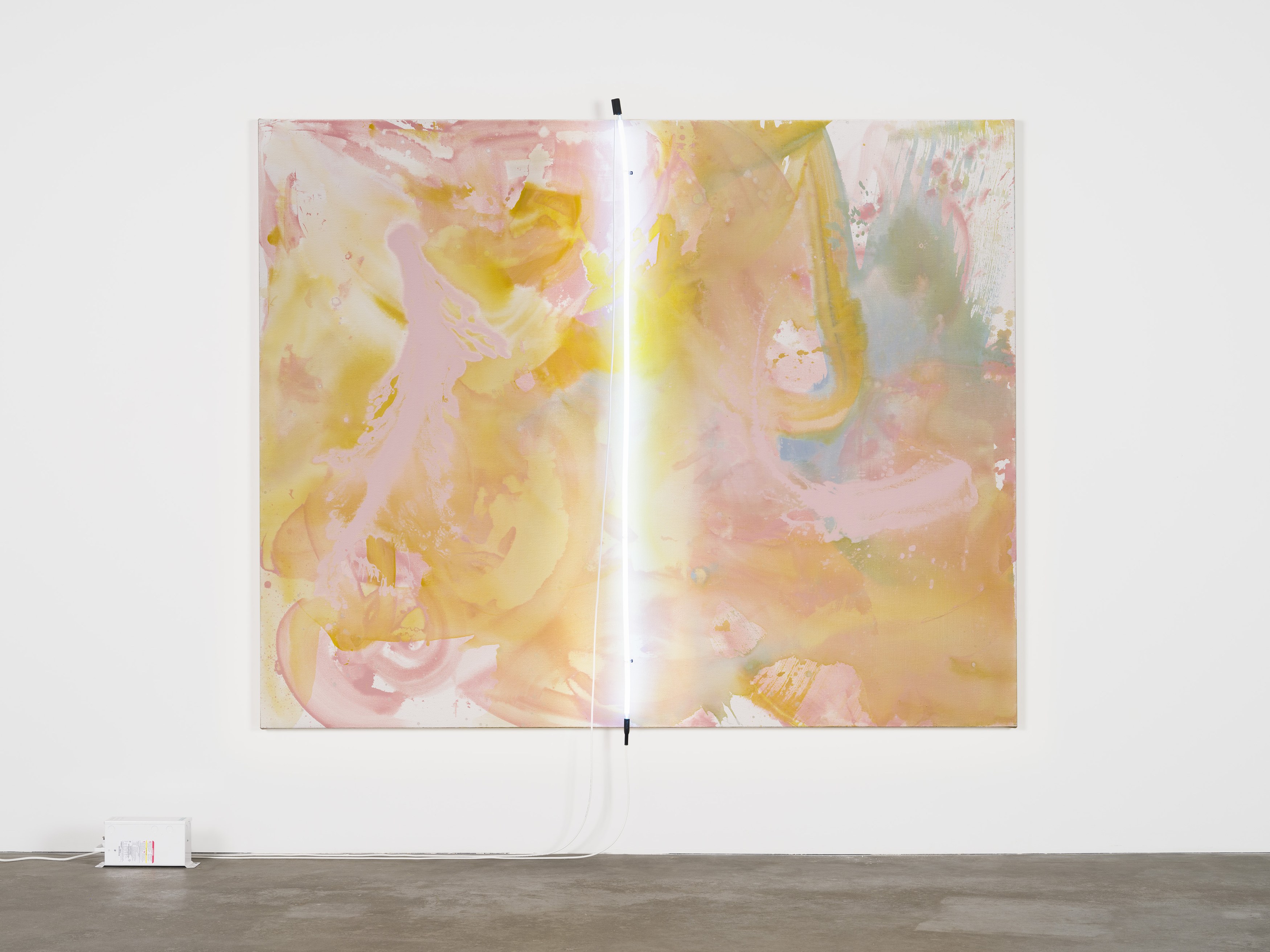 Andrea Bowers, Mary Weatherford, Drink the Wild Air at Capitain Petzel, photo 39