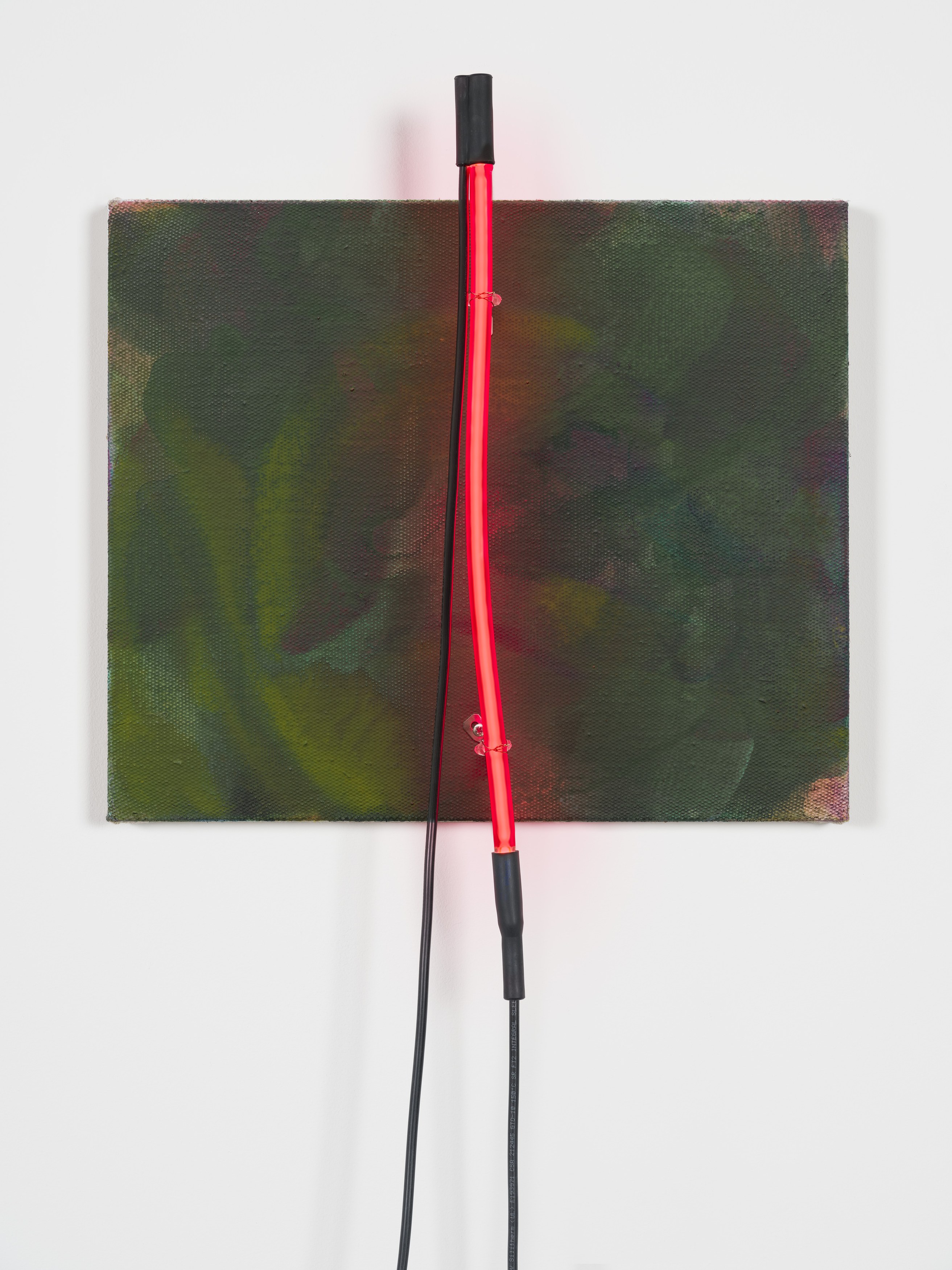 Andrea Bowers, Mary Weatherford, Drink the Wild Air at Capitain Petzel, photo 41
