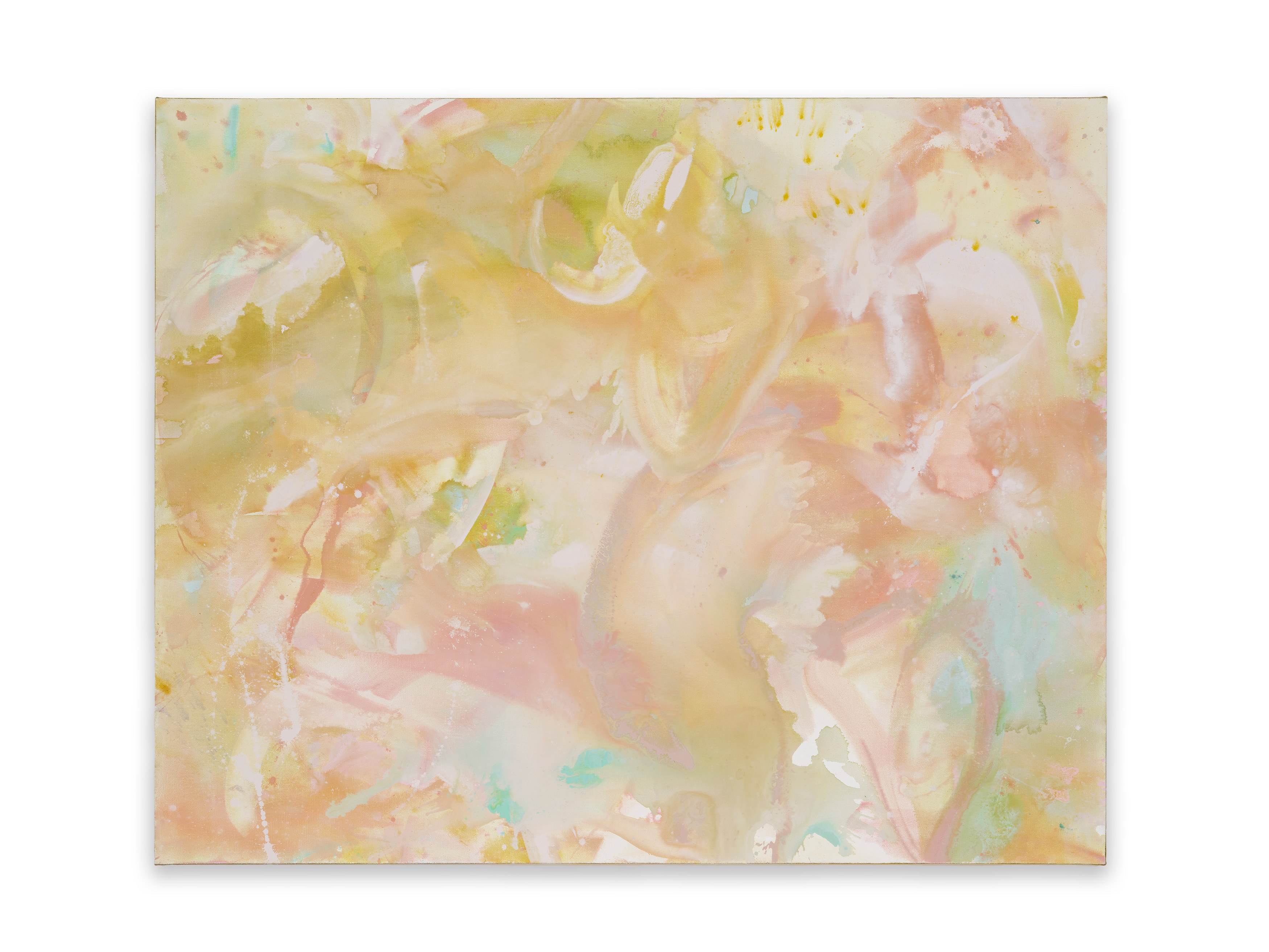 Andrea Bowers, Mary Weatherford, Drink the Wild Air at Capitain Petzel, photo 42