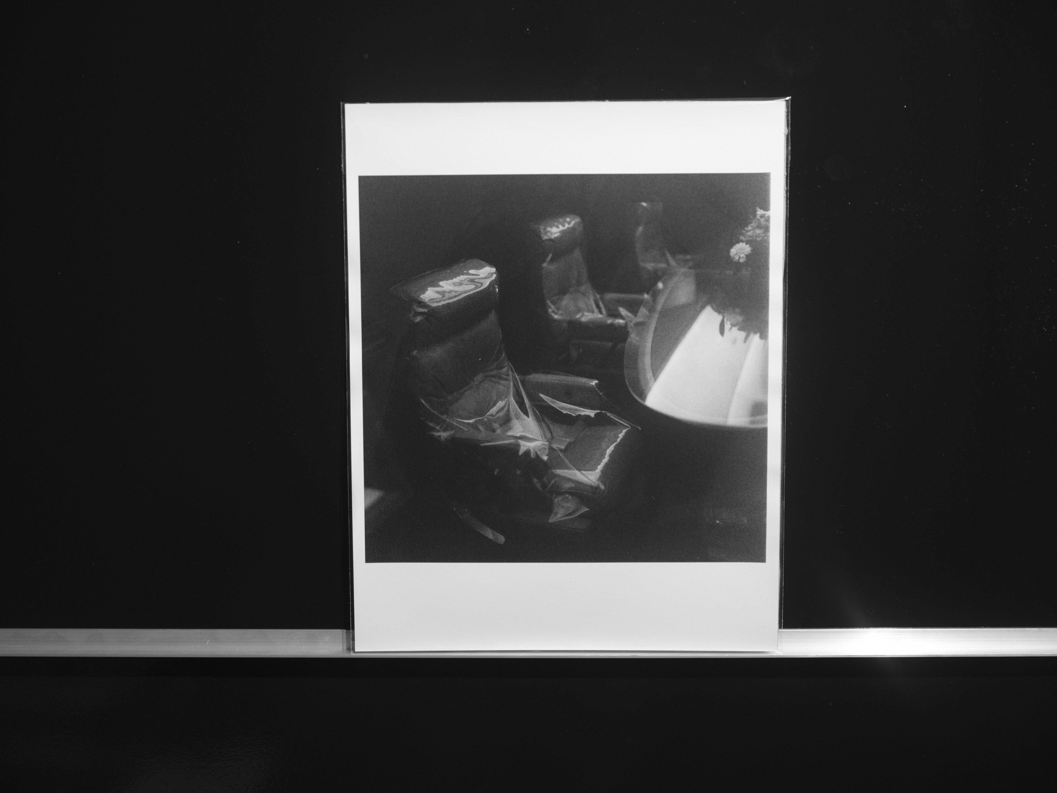 Alvin Baltrop, Hans Richter, Photography at No Tax, photo 12