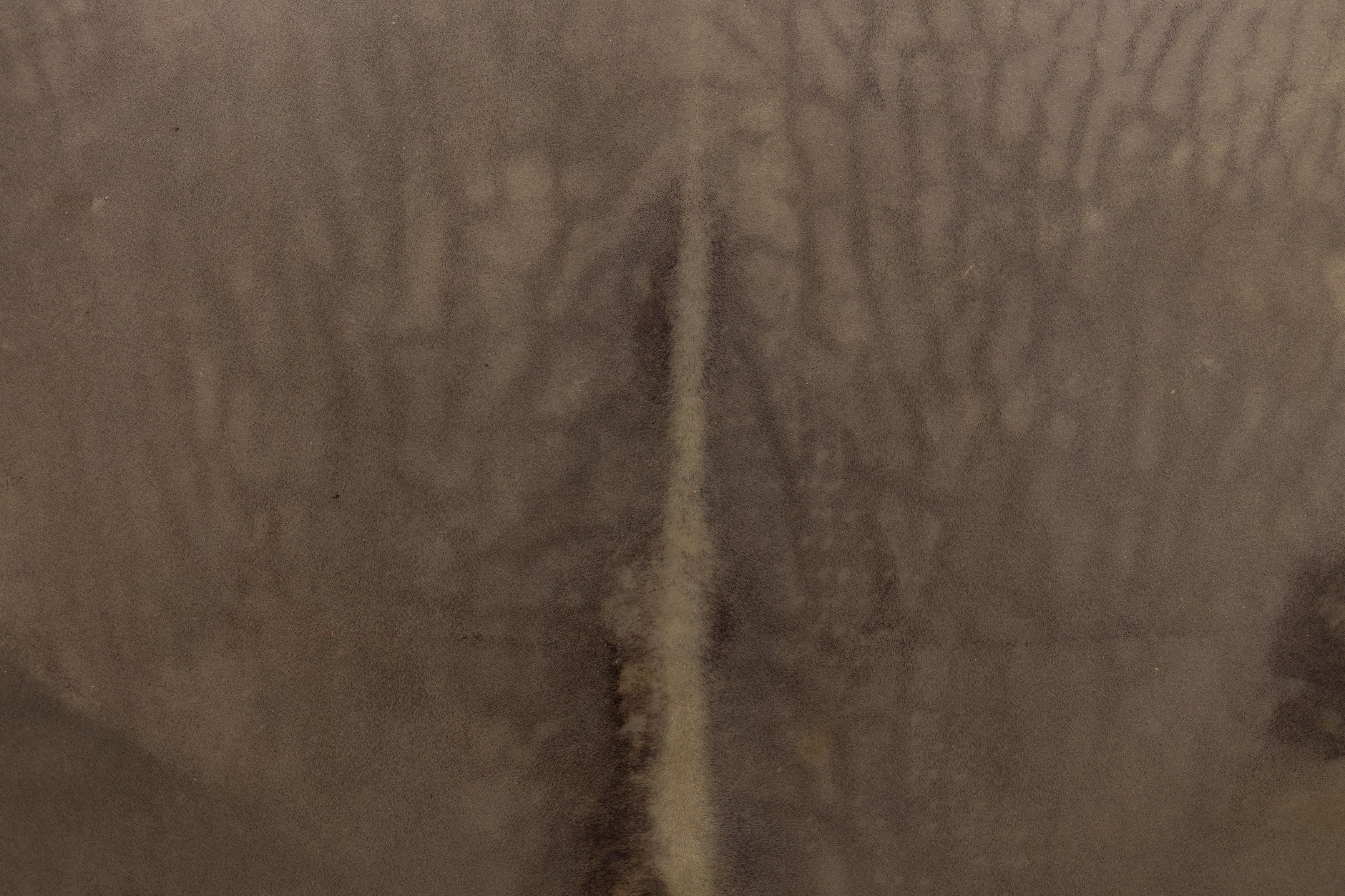 Manon Wertenbroek, In Guts and Heads at Rose Easton, photo 27