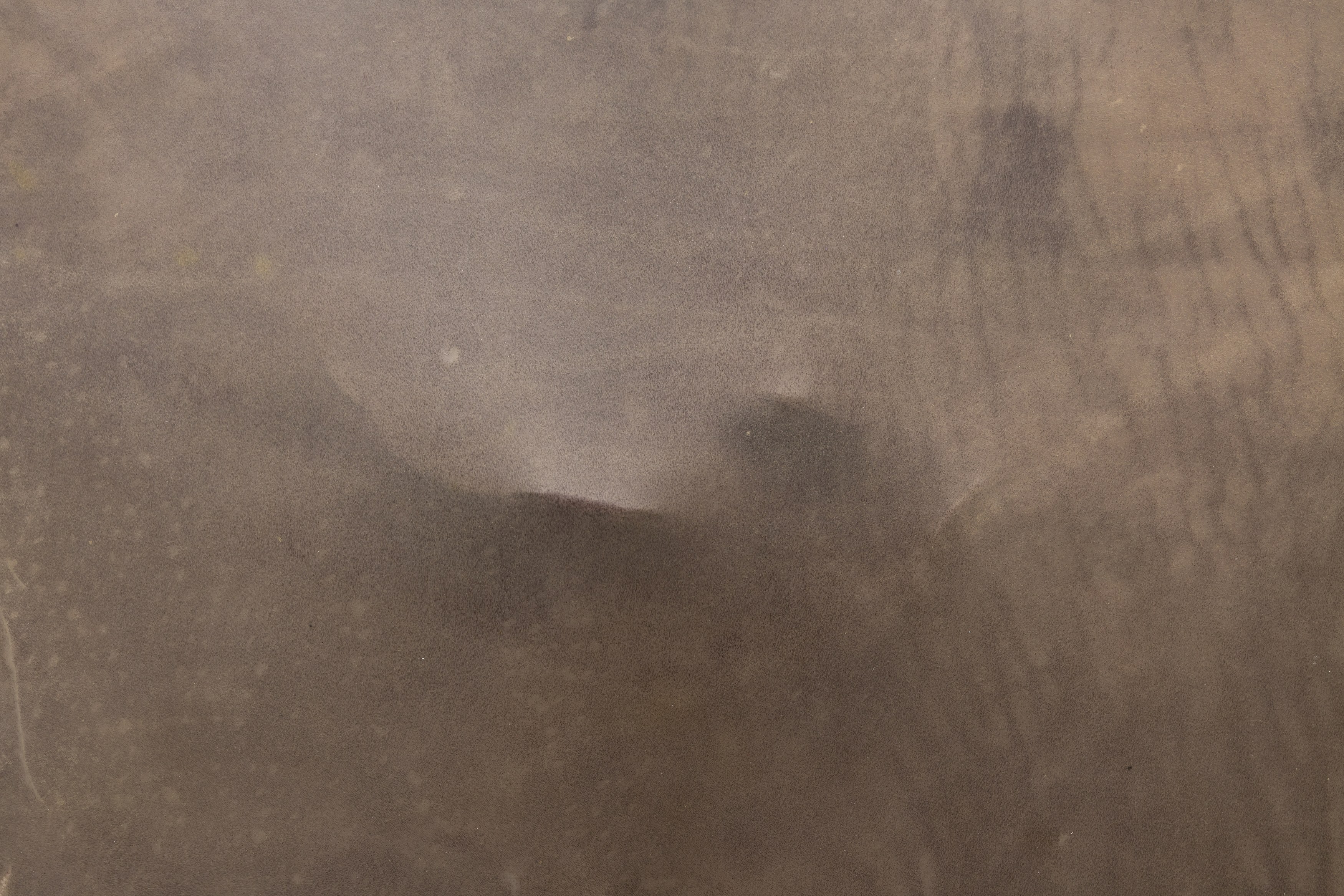 Manon Wertenbroek, In Guts and Heads at Rose Easton, photo 28