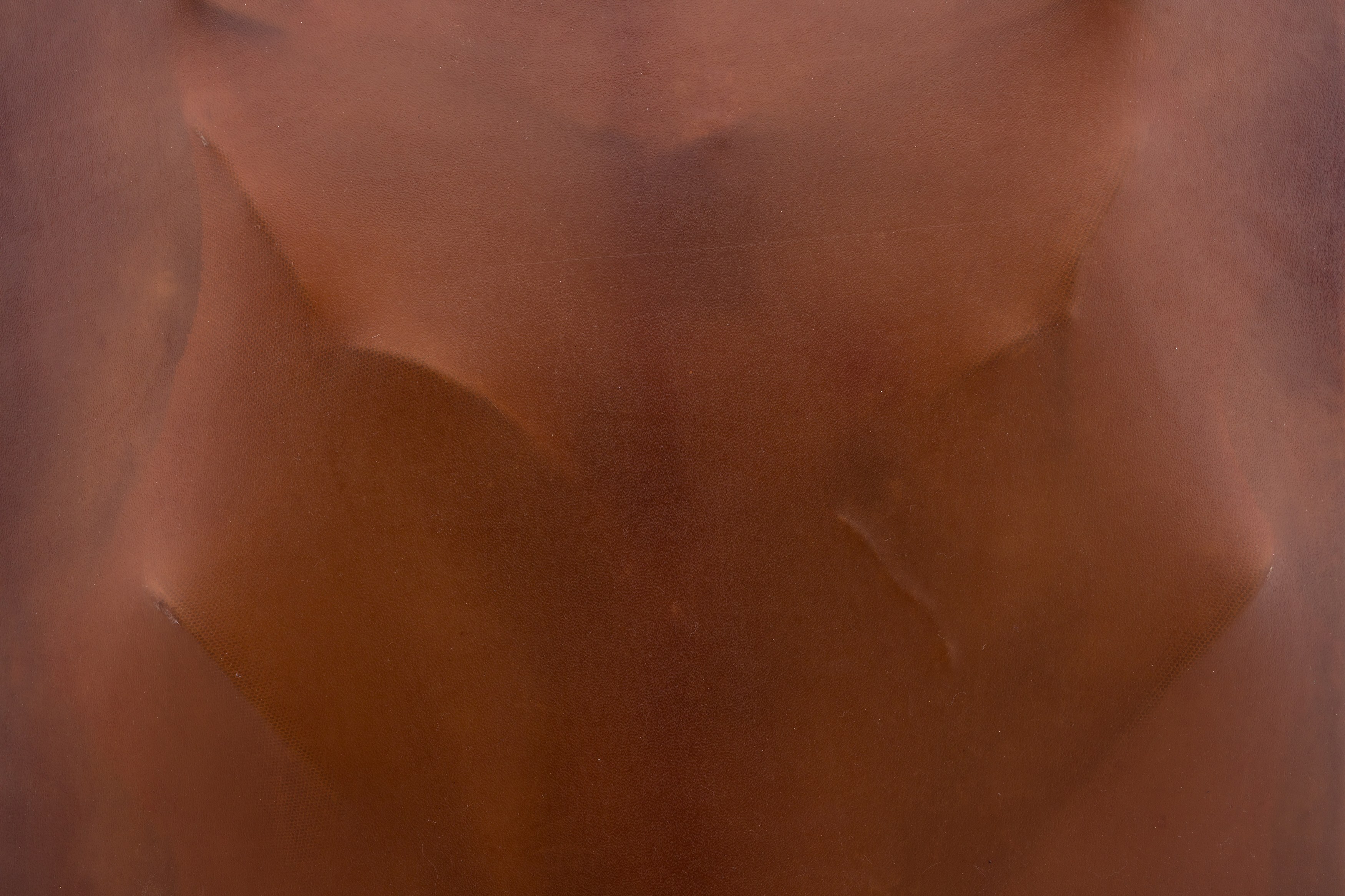 Manon Wertenbroek, In Guts and Heads at Rose Easton, photo 36