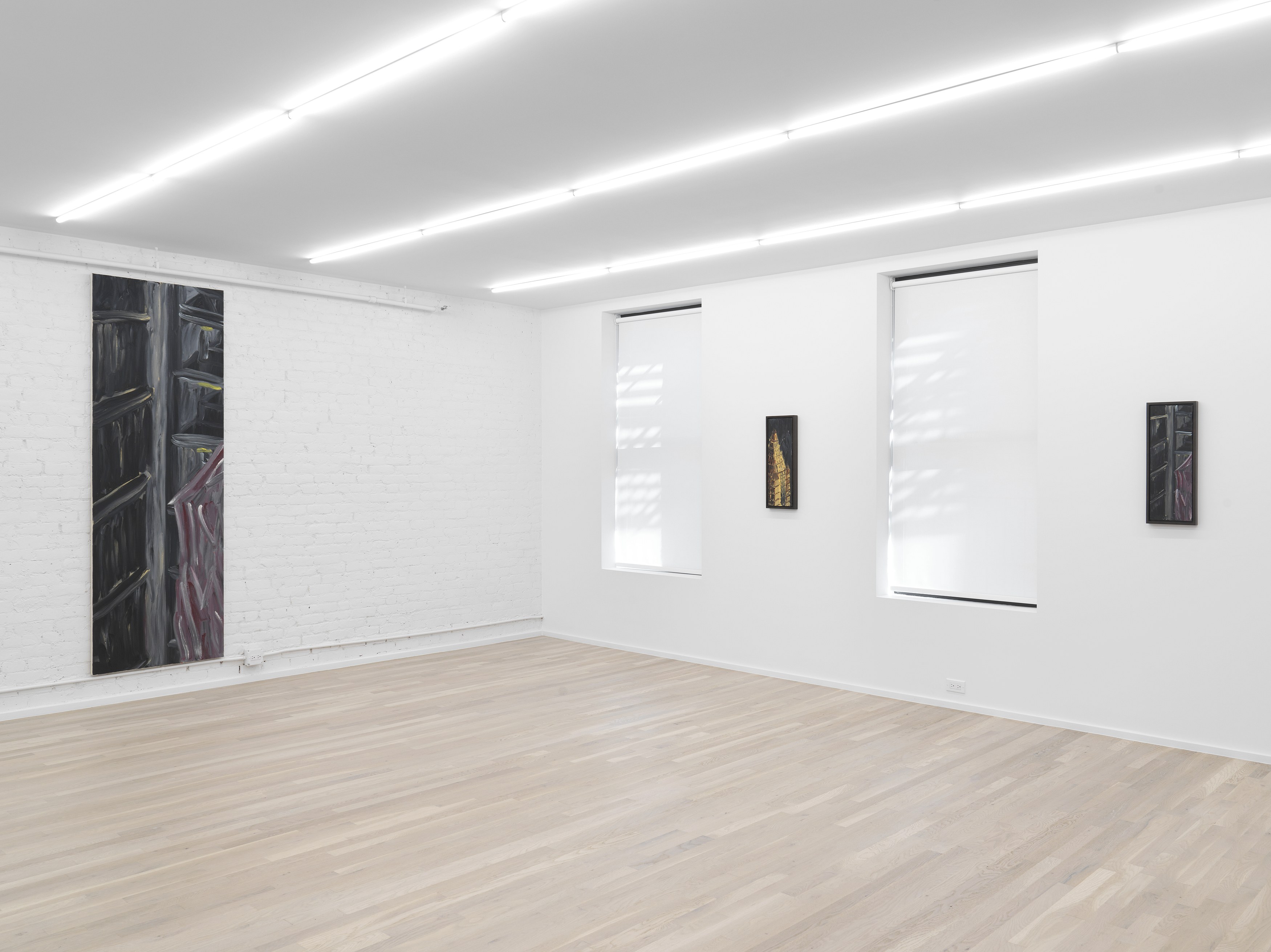 Martha Diamond, Night Lights at Magenta Plains, photo 5