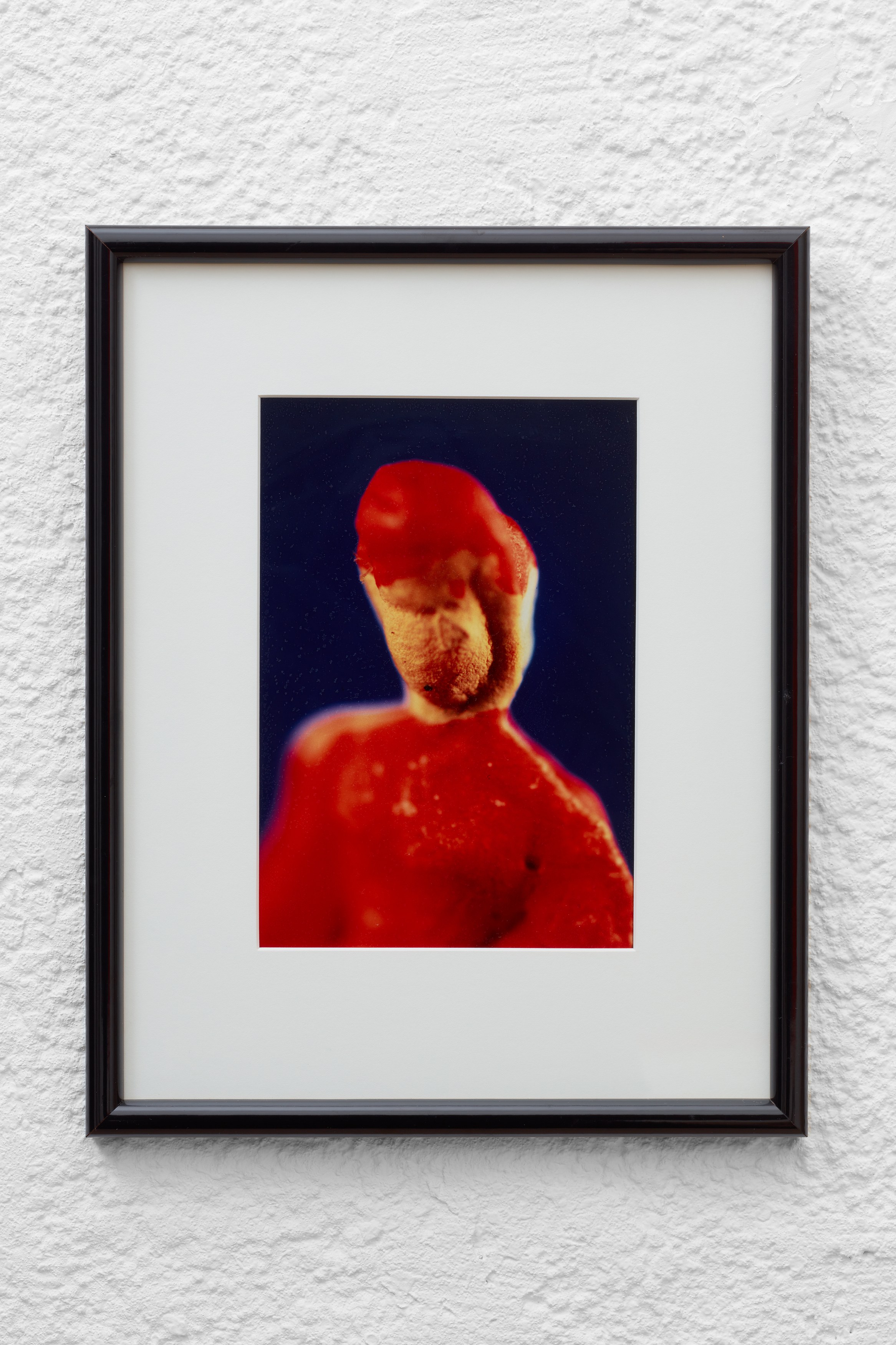 Nature Morte (1982–1988), Nature Morte (1982–1988) at Ehrlich Steinberg, photo 3