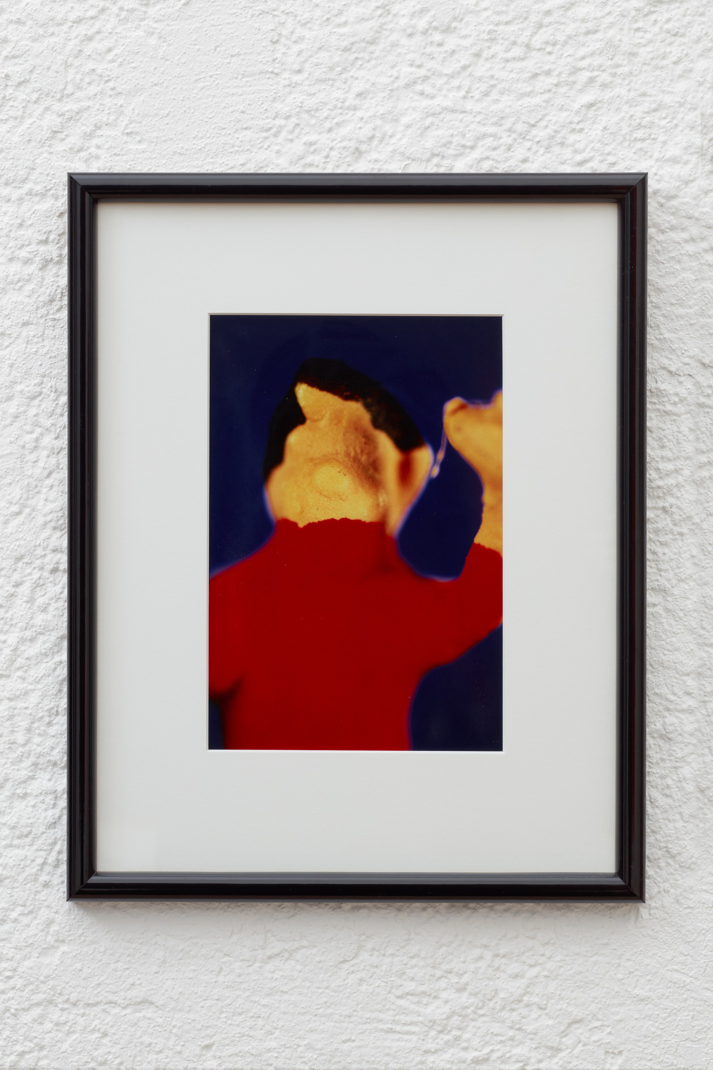 Nature Morte (1982–1988), Nature Morte (1982–1988) at Ehrlich Steinberg, photo 4