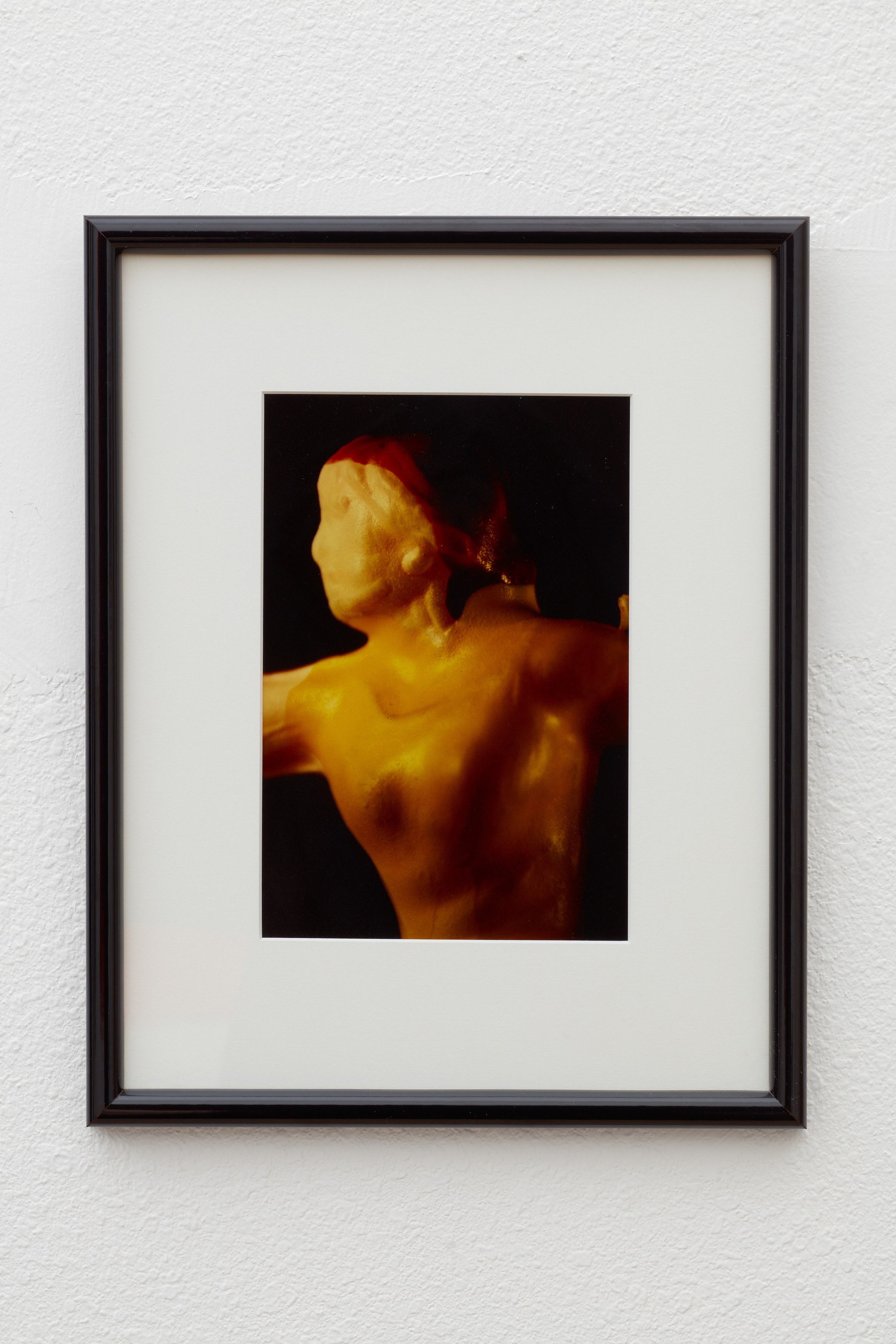 Nature Morte (1982–1988), Nature Morte (1982–1988) at Ehrlich Steinberg, photo 5