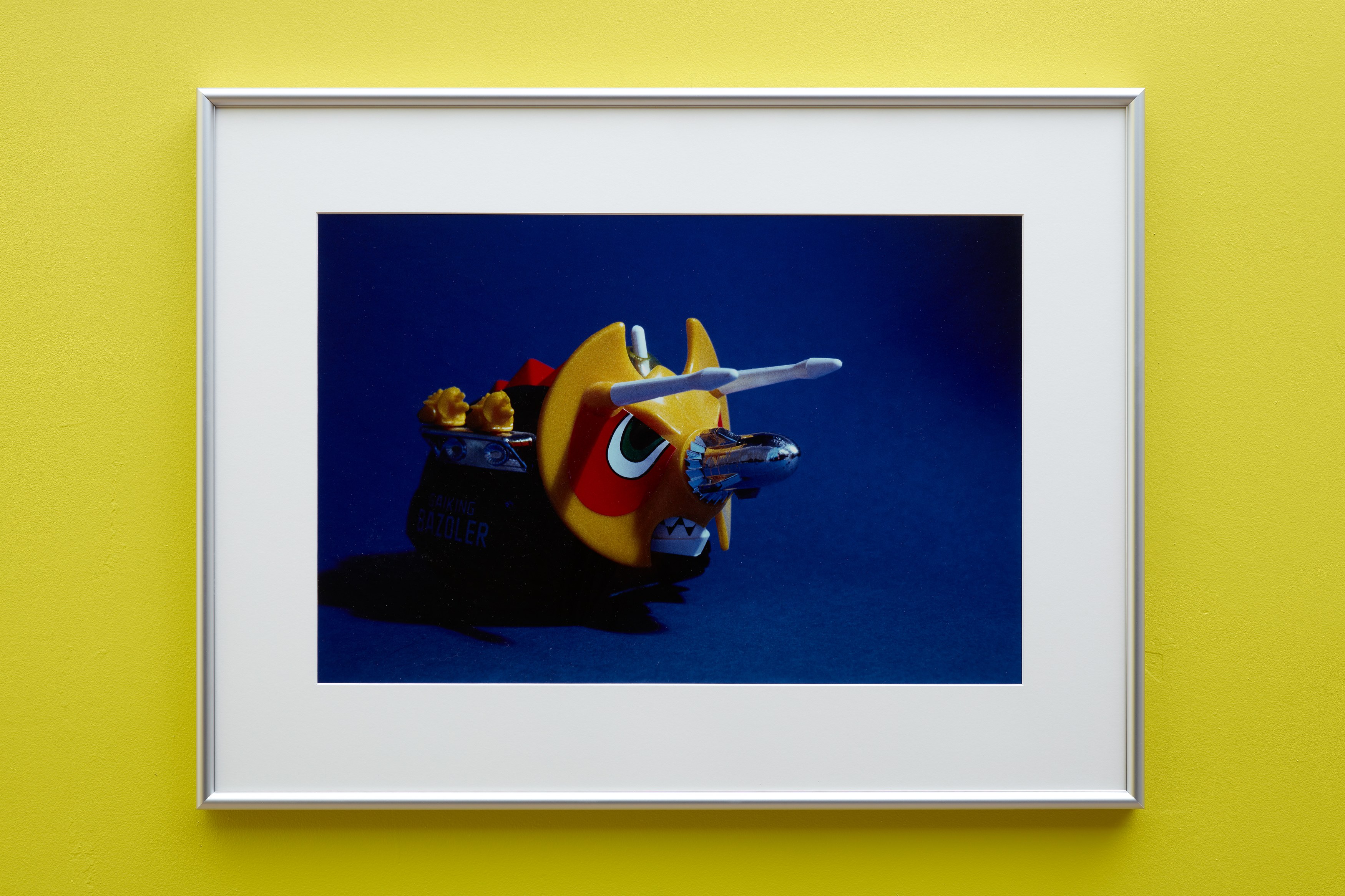 Nature Morte (1982–1988), Nature Morte (1982–1988) at Ehrlich Steinberg, photo 37