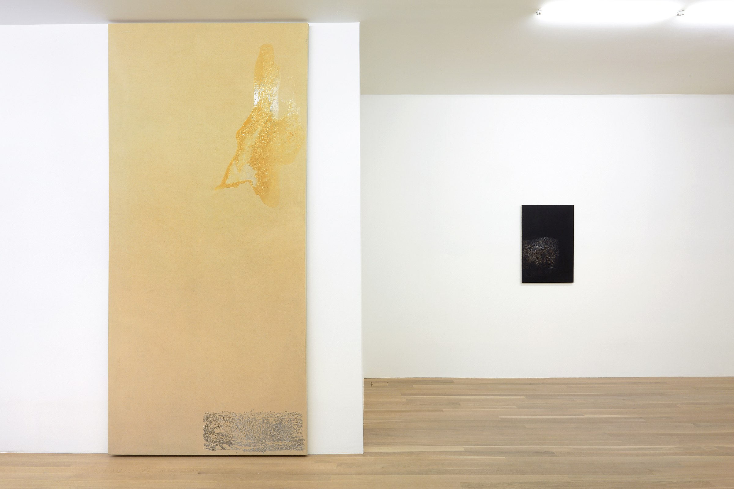 Sergej Jensen, Untitled at Galerie Buchholz, Berlin, photo 8