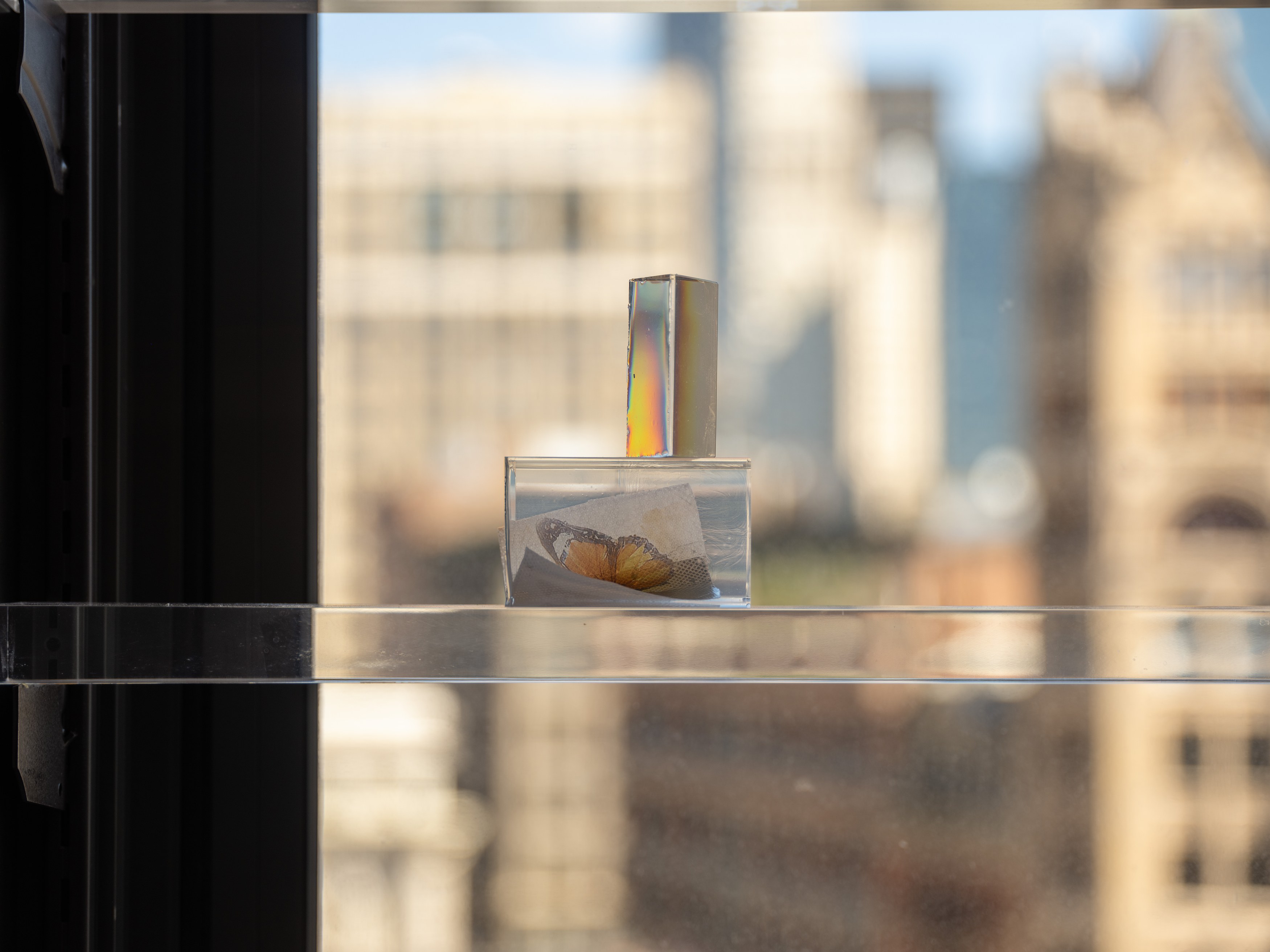 Max Popov, Between you and me at Gordon Robichaux, photo 17