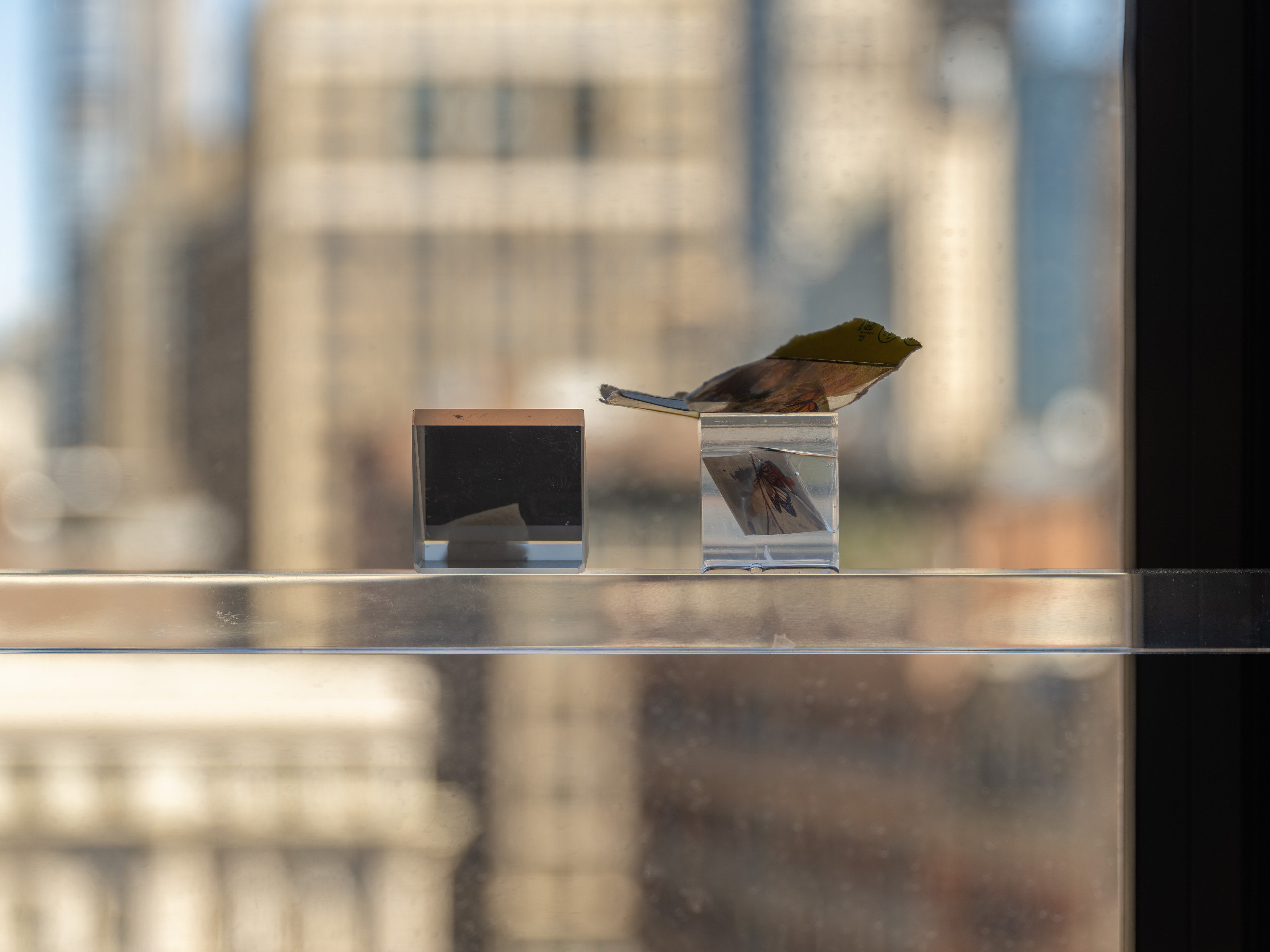 Max Popov, Between you and me at Gordon Robichaux, photo 20