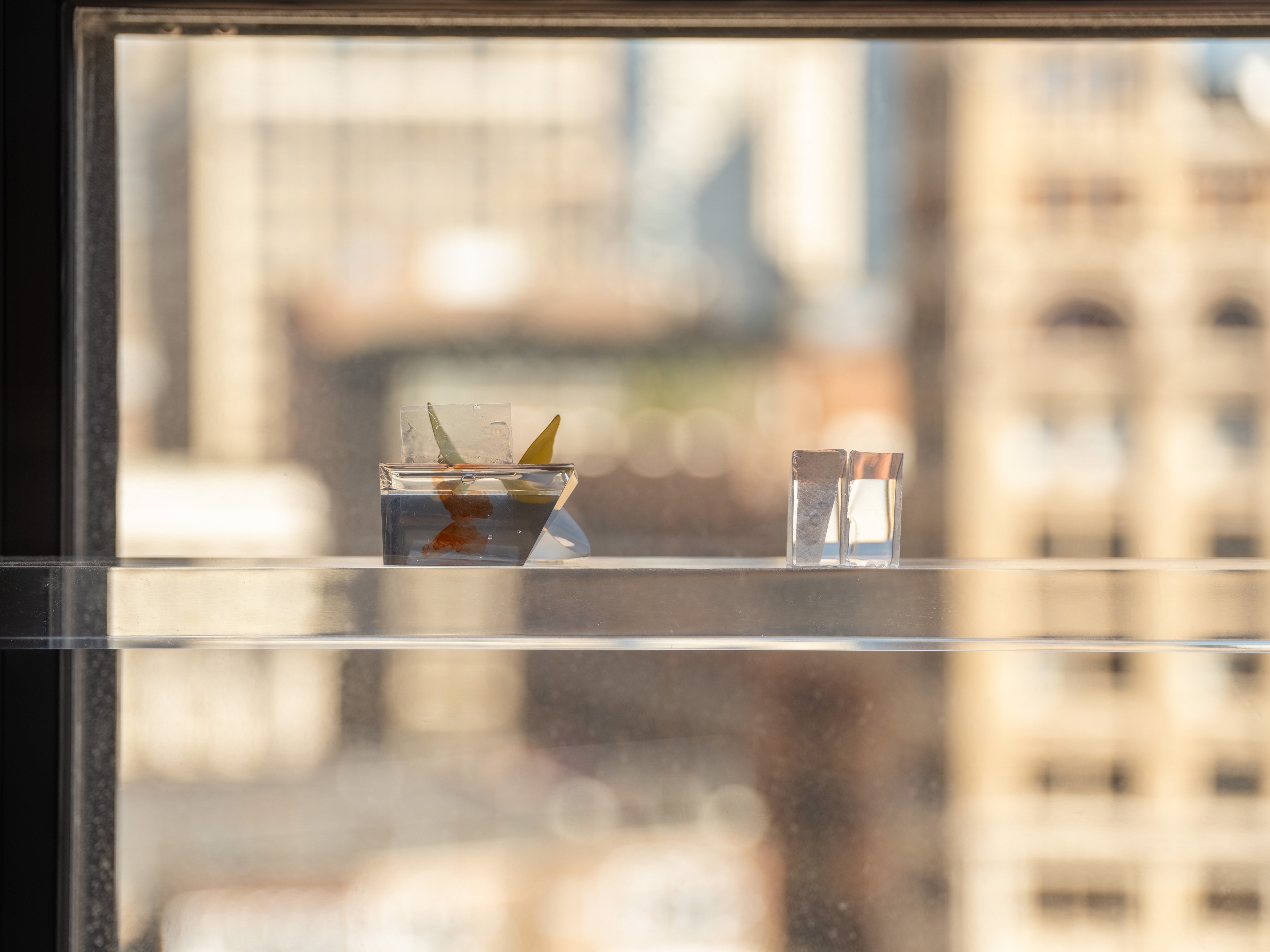Max Popov, Between you and me at Gordon Robichaux, photo 28