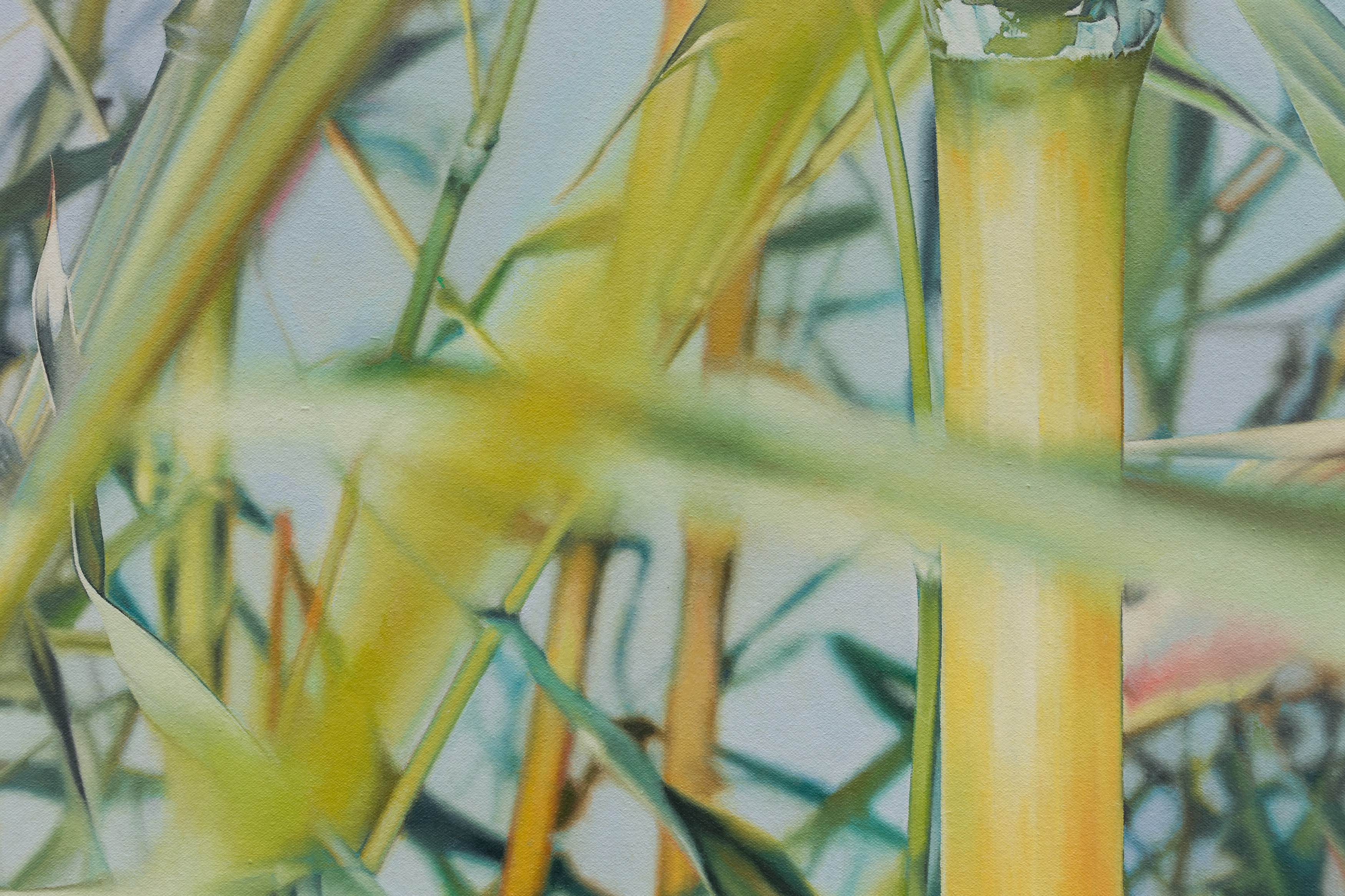 Don’t, Don’t at Galerina, photo 22