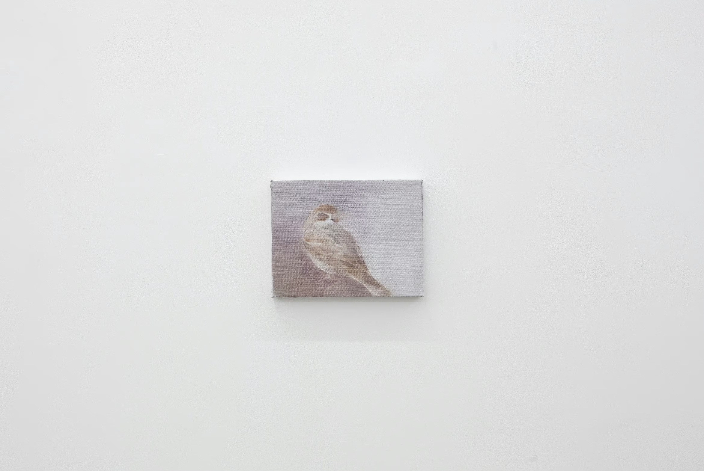 Aya Higuchi, Ryu Takeda, image 13 of 28