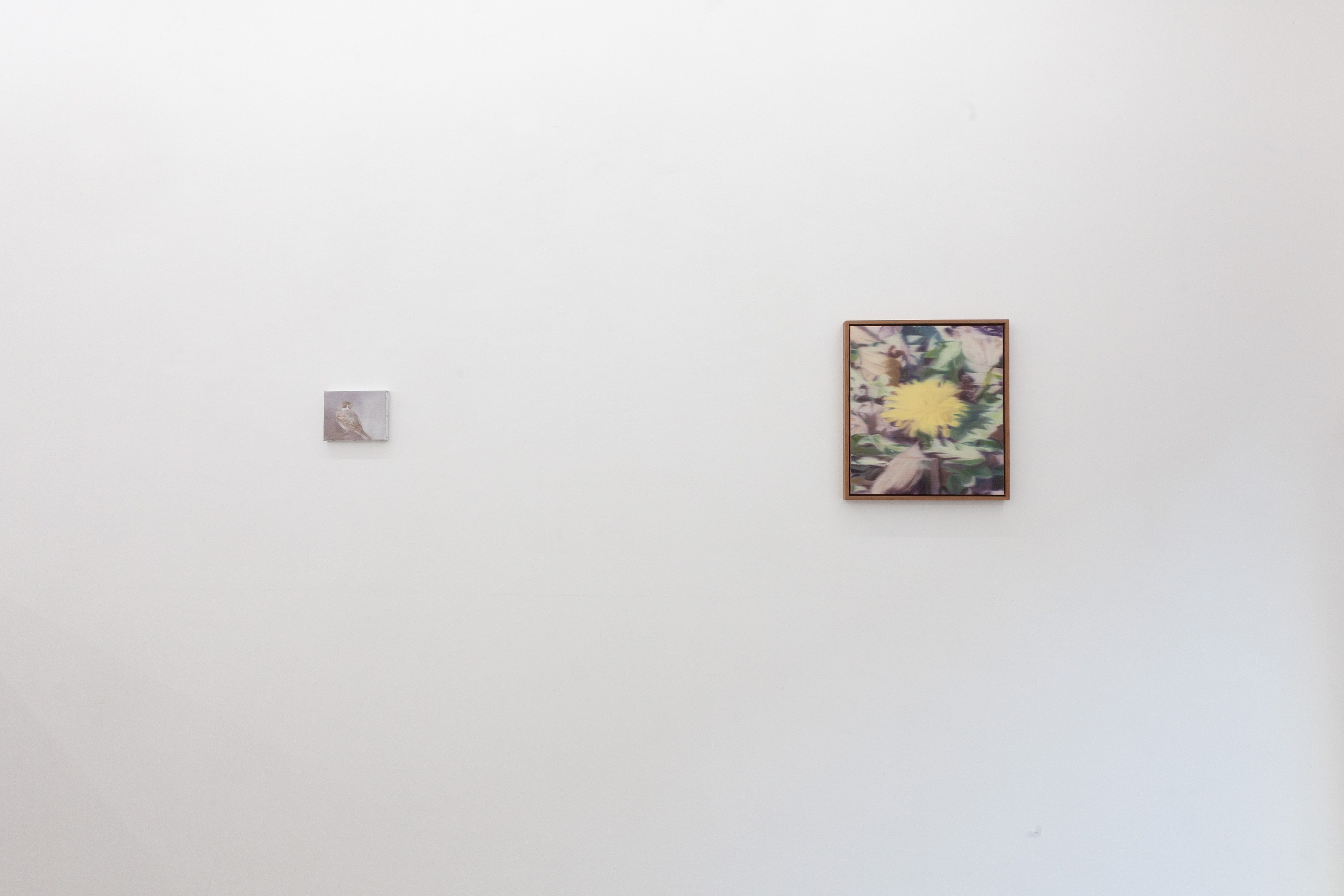 Aya Higuchi, Ryu Takeda, image 9 of 28