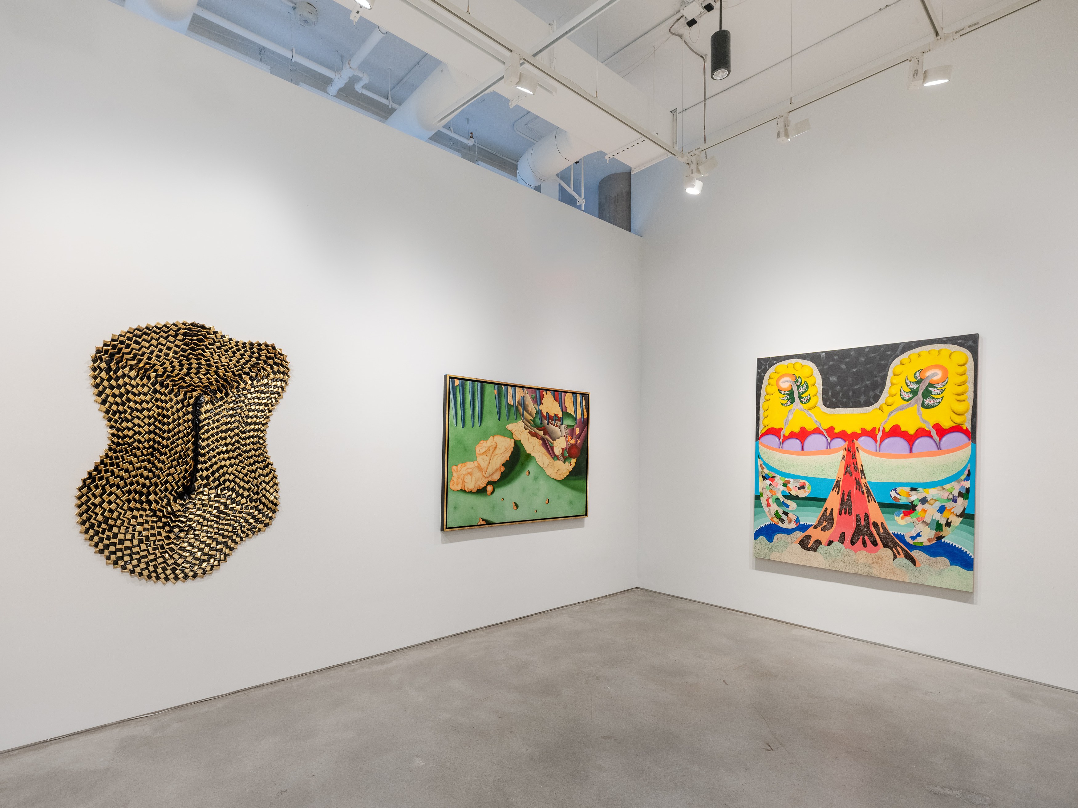 Antonio Henrique Amaral, Thiago Barbalho, Organic Fictions at Nara Roesler, photo 7