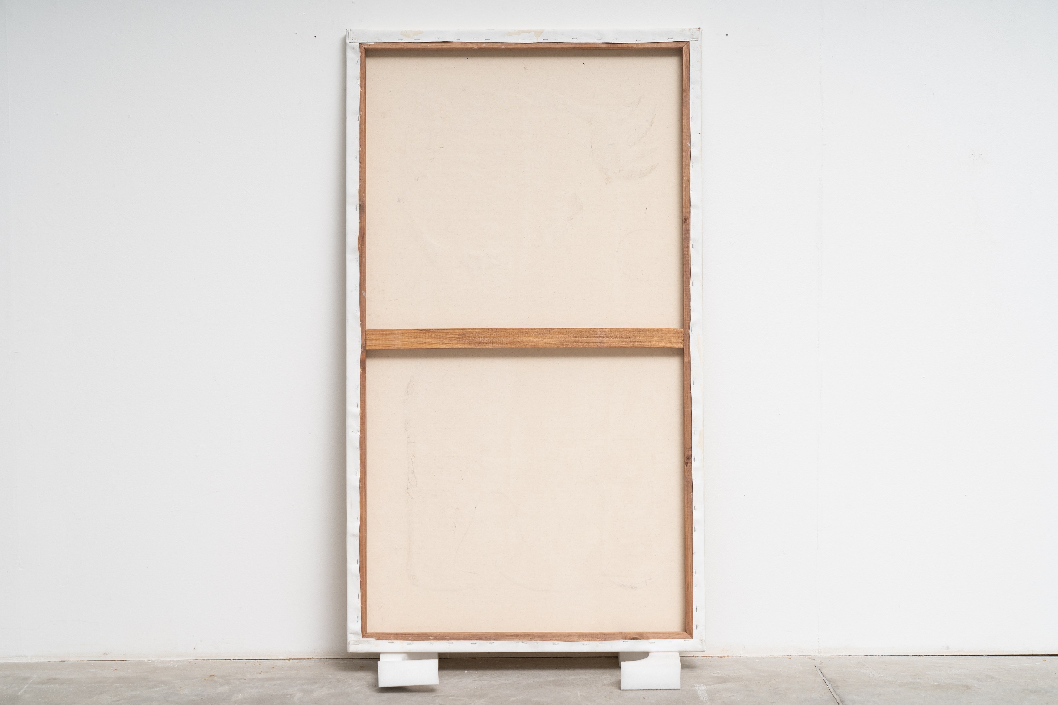 Antonio Henrique Amaral, Thiago Barbalho, Organic Fictions at Nara Roesler, photo 27