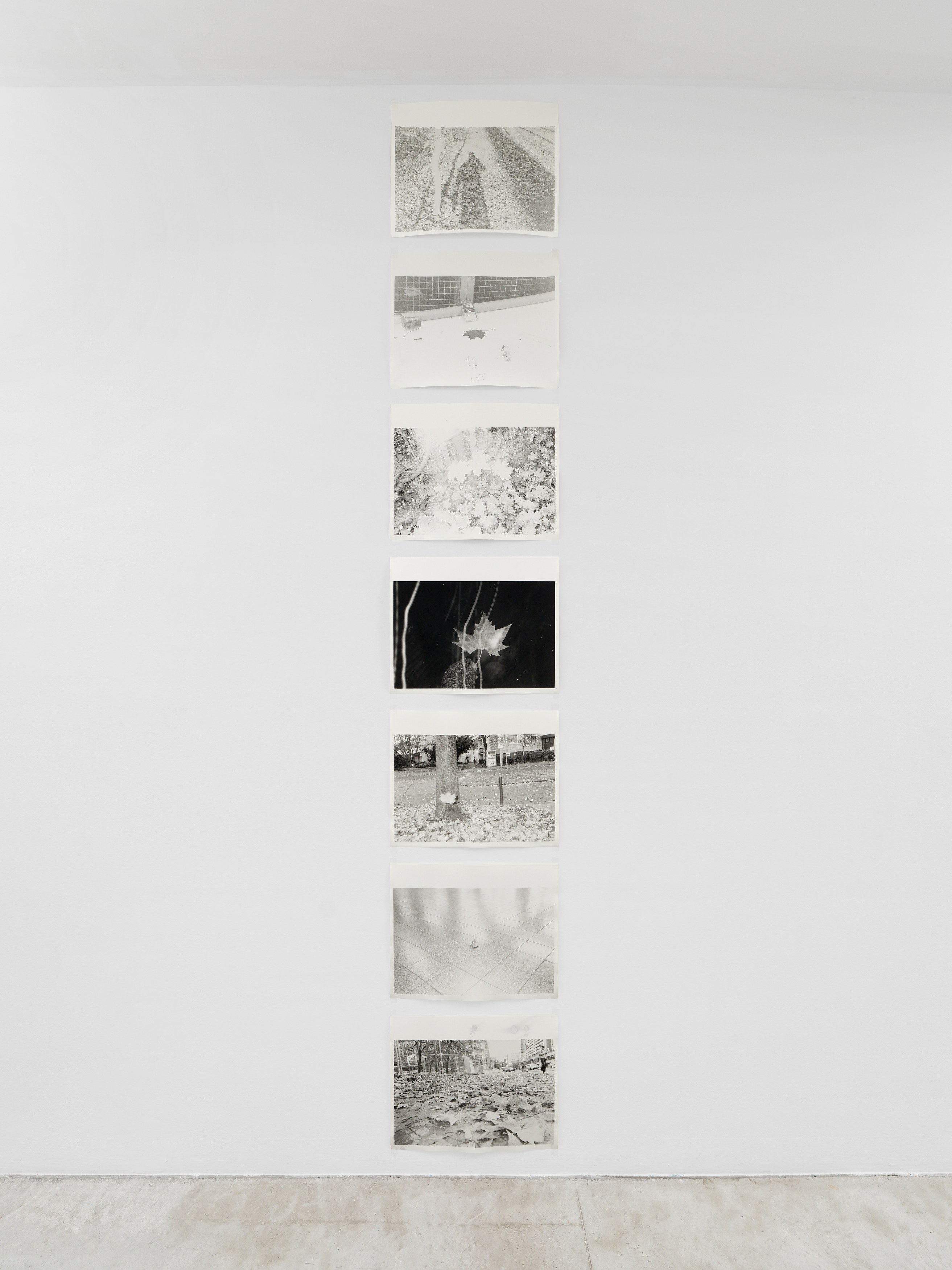 Flaviu Cacoveanu, Conceptual Play at Parliament, photo 8