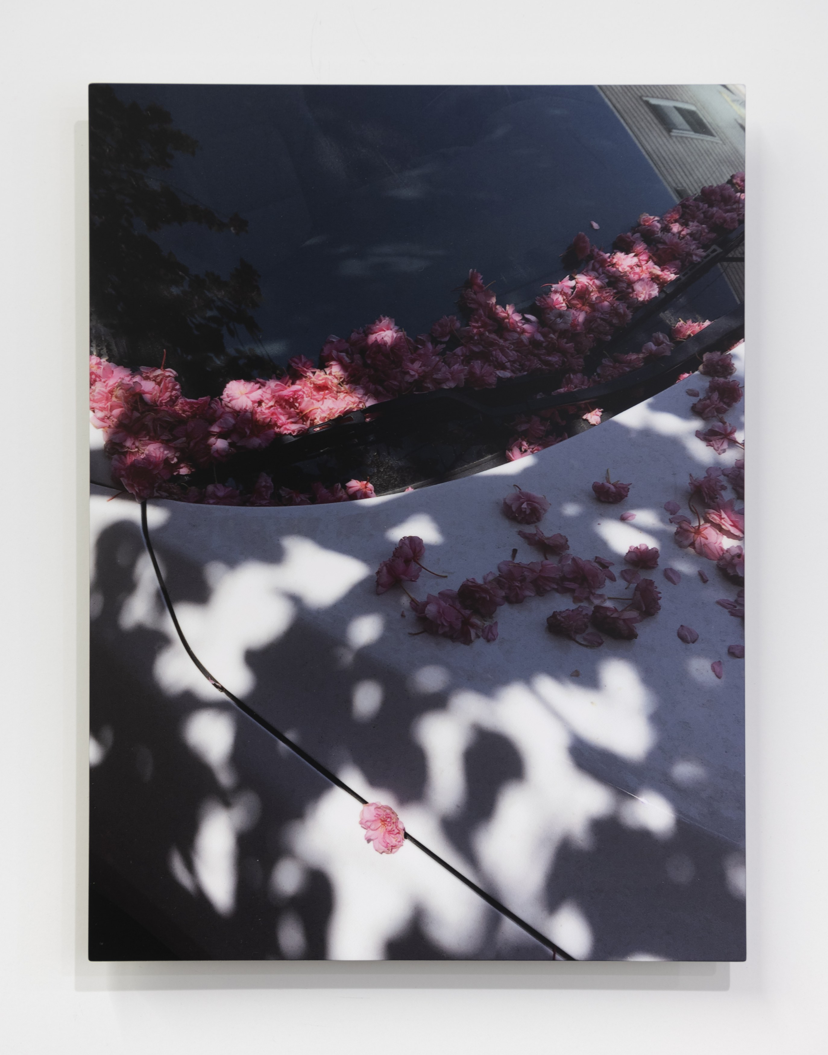 Gavin Brown, Brian Faucette, Aron Gent, Sam Gordon, Matthew Higgs, Michael Jenkins, Margaret Lee, Mario Miron, Davida Nemeroff, John Riepenhoff, Emily Sundblad, Annette Wehrhahn, Alivia Zivich, image 11 of 98