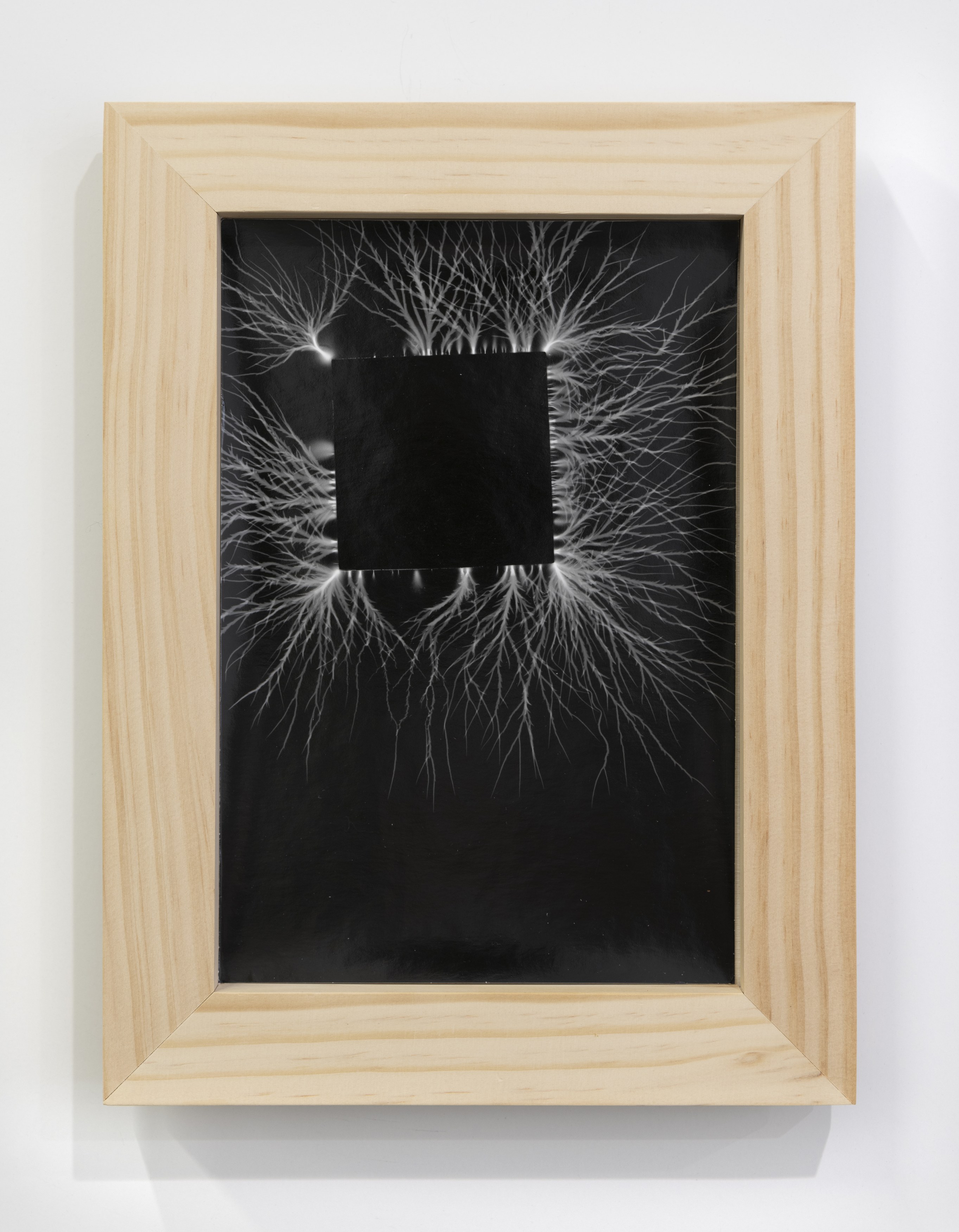 Gavin Brown, Brian Faucette, Aron Gent, Sam Gordon, Matthew Higgs, Michael Jenkins, Margaret Lee, Mario Miron, Davida Nemeroff, John Riepenhoff, Emily Sundblad, Annette Wehrhahn, Alivia Zivich, image 13 of 98