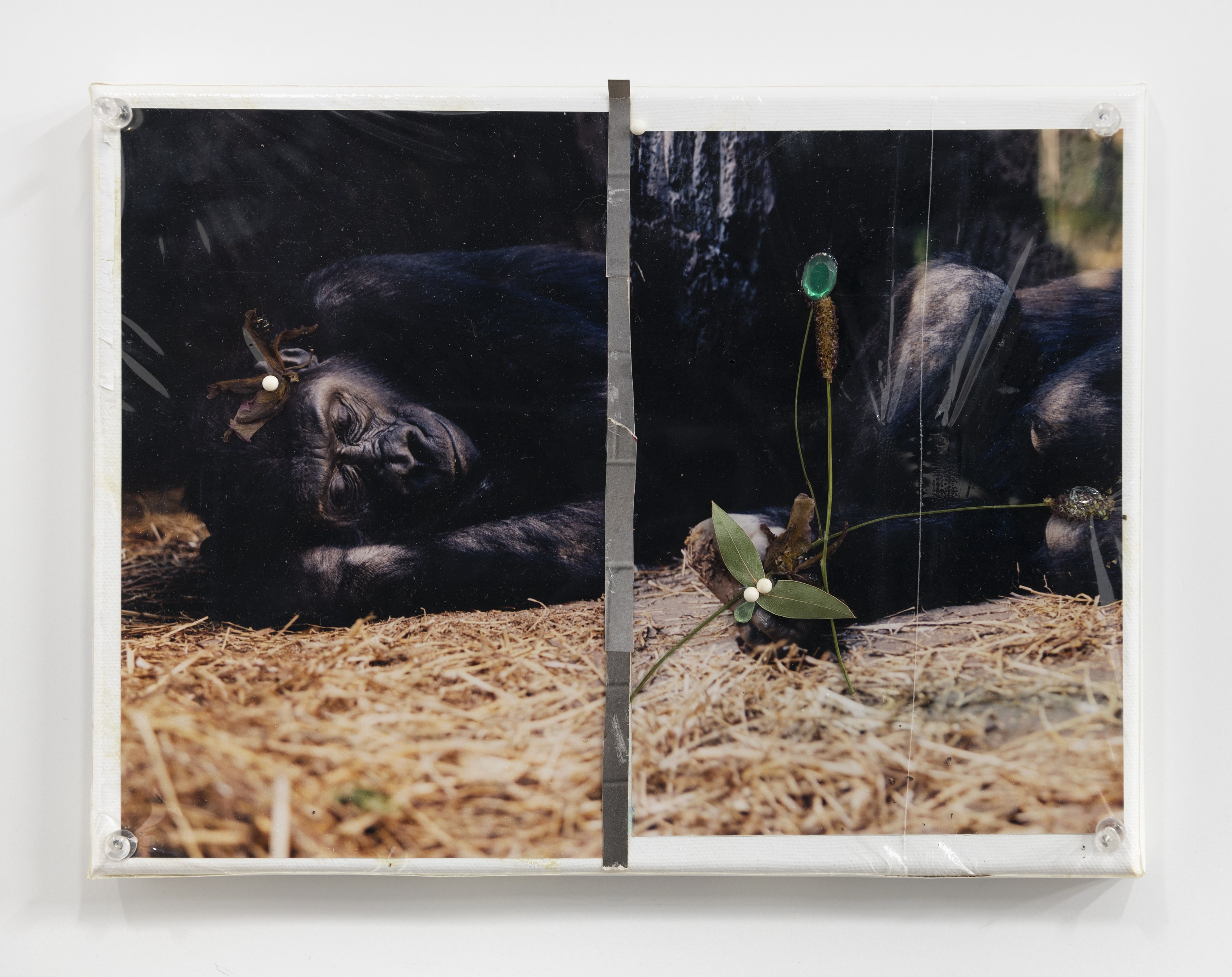 Gavin Brown, Brian Faucette, Aron Gent, Sam Gordon, Matthew Higgs, Michael Jenkins, Margaret Lee, Mario Miron, Davida Nemeroff, John Riepenhoff, Emily Sundblad, Annette Wehrhahn, Alivia Zivich, image 49 of 98