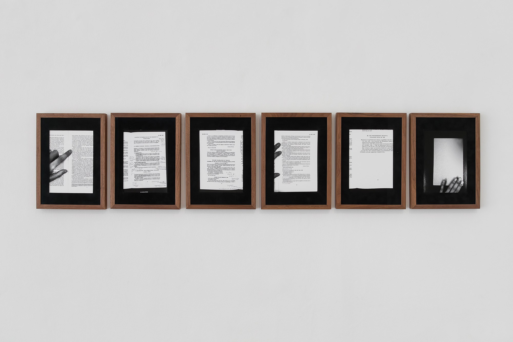 Sasha Ercole, Christian Kingo, image 15 of 24