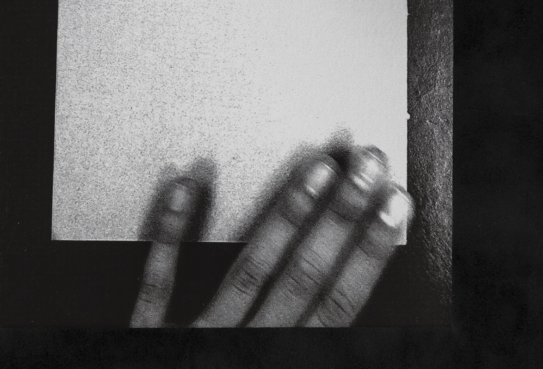 Sasha Ercole, Christian Kingo, image 16 of 24