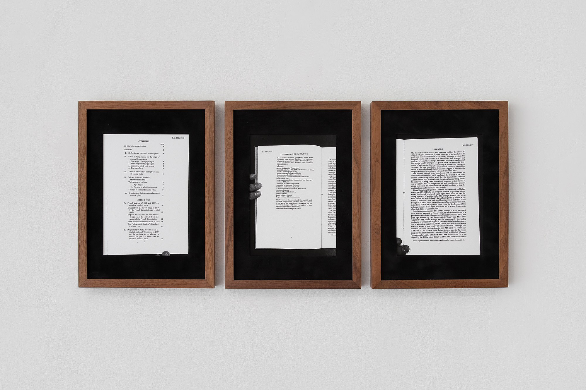 Sasha Ercole, Christian Kingo, image 17 of 24