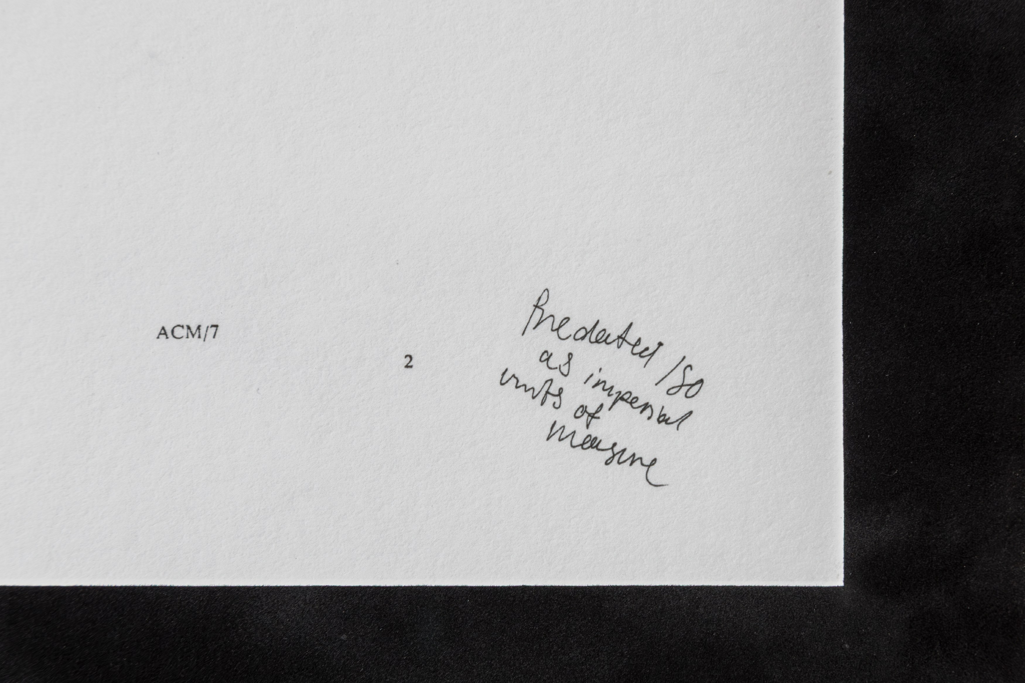 Sasha Ercole, Christian Kingo, image 19 of 24