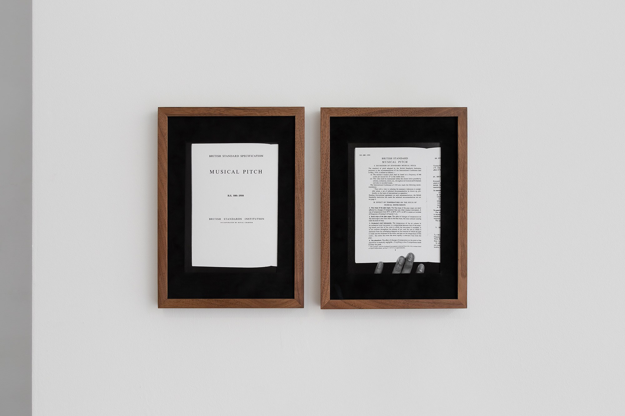 Sasha Ercole, Christian Kingo, image 20 of 24