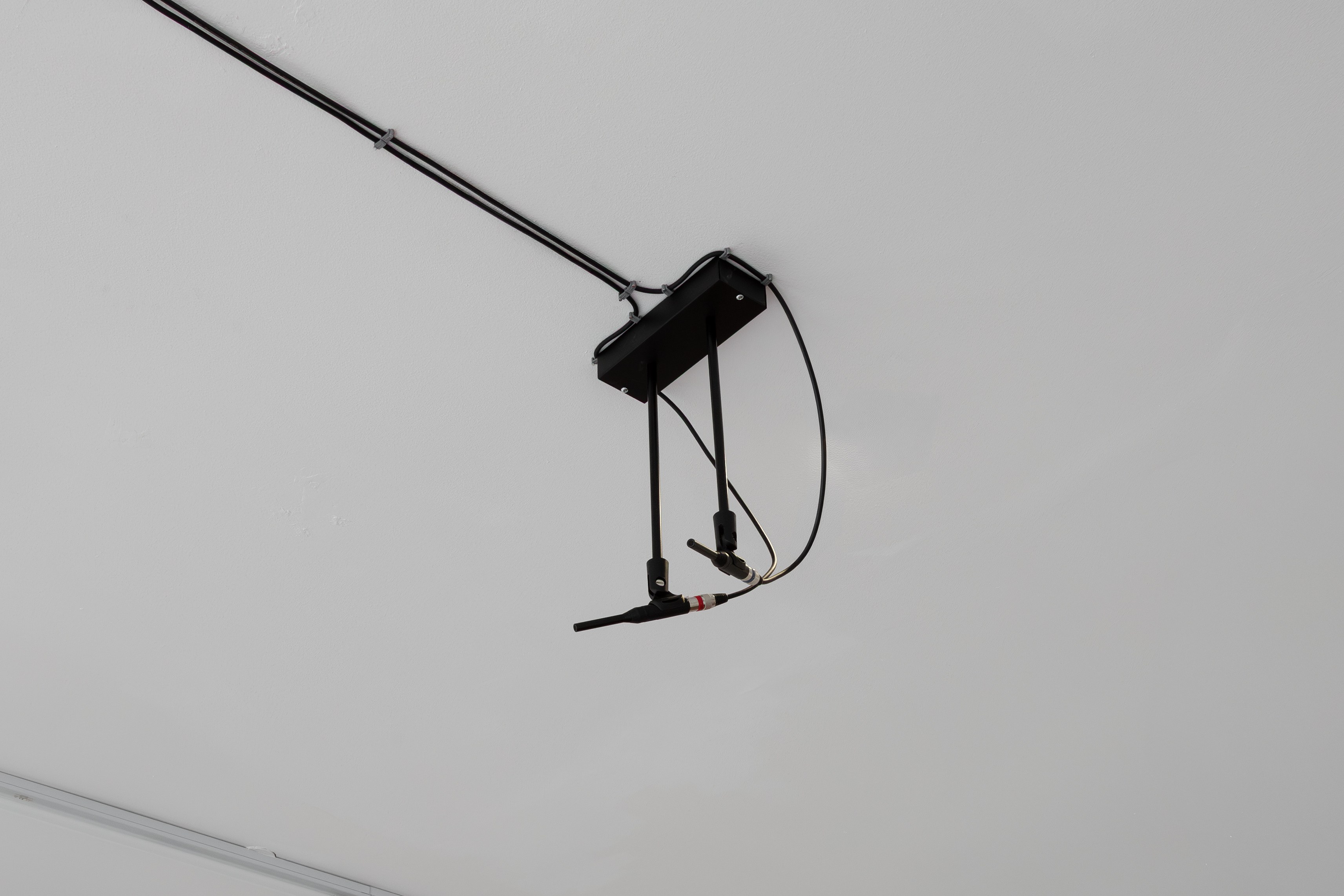 Sasha Ercole, Christian Kingo, image 21 of 24