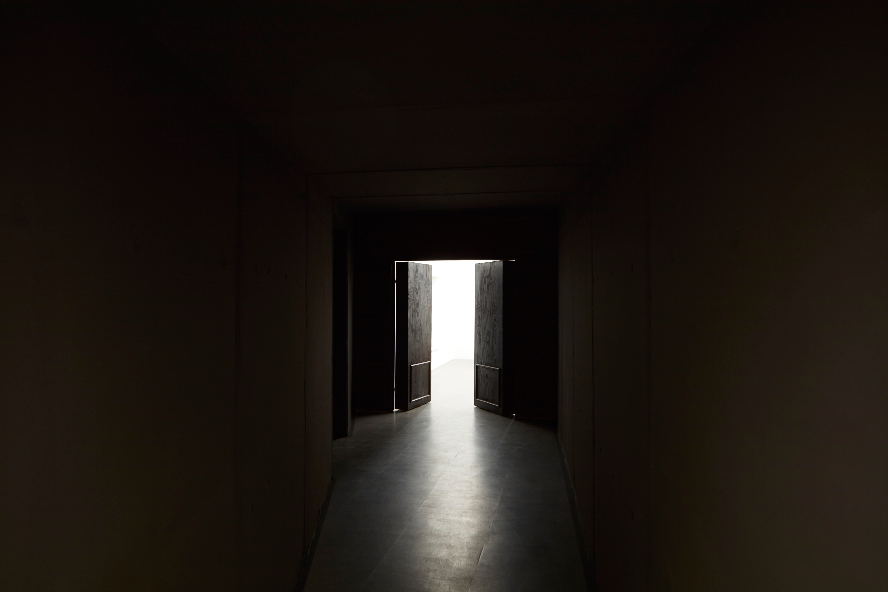 Laure Prouvost, Dear dirty dark drink drift down deep droll (in der dole) at Carlier Gebauer, photo 3