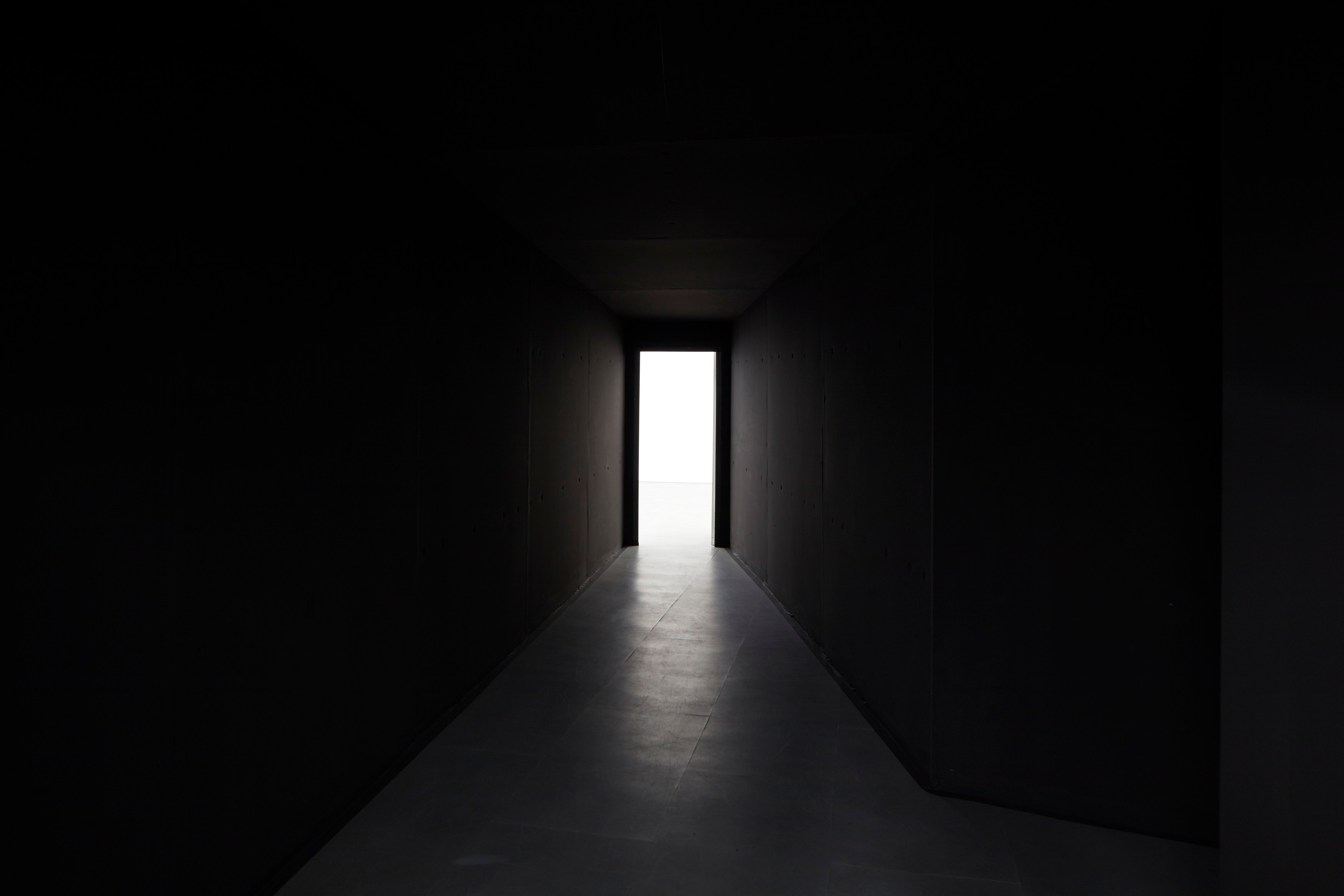 Laure Prouvost, Dear dirty dark drink drift down deep droll (in der dole) at Carlier Gebauer, photo 4