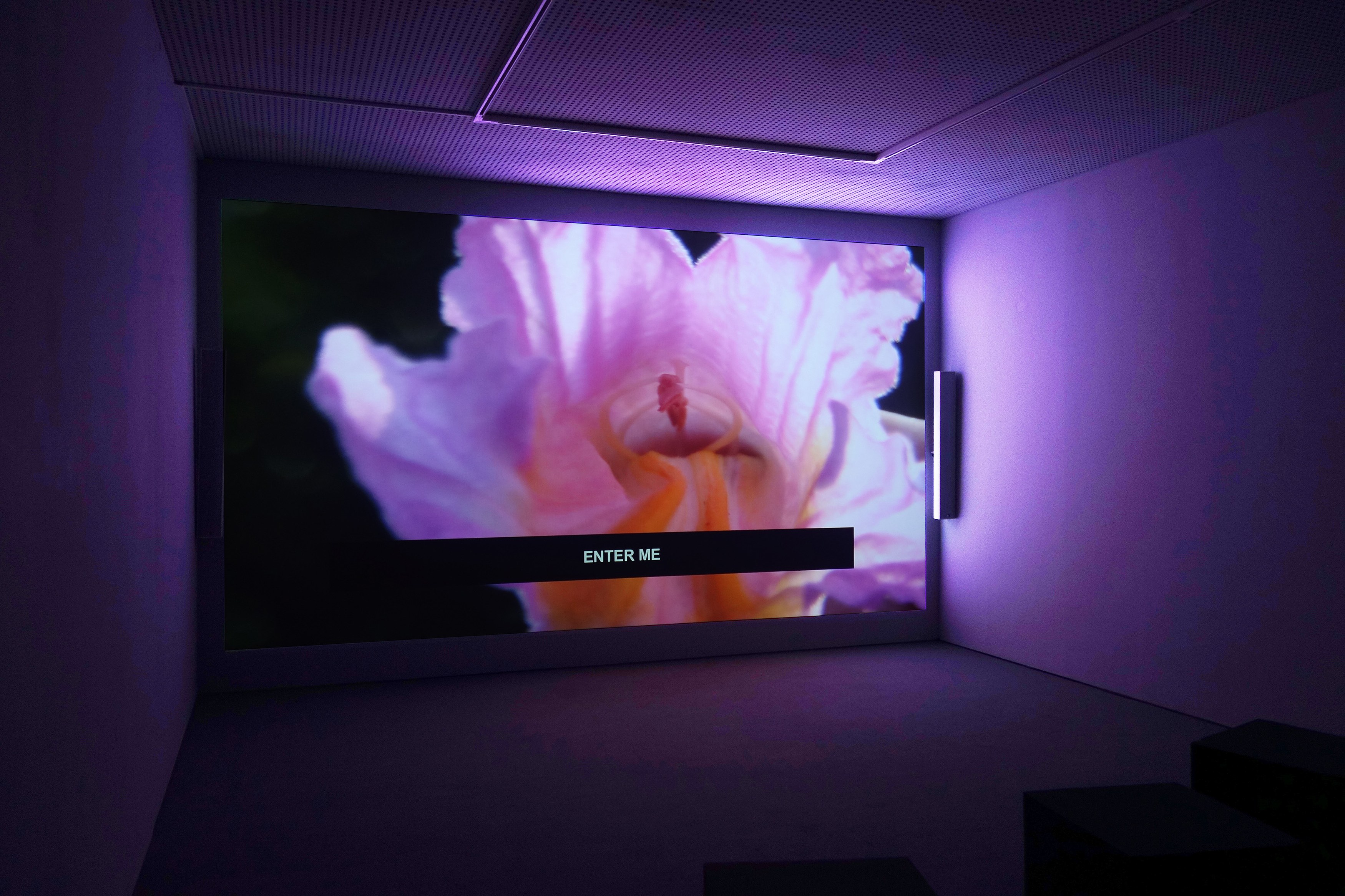 Laure Prouvost, Dear dirty dark drink drift down deep droll (in der dole) at Carlier Gebauer, photo 5