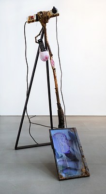 Image 11 of 32