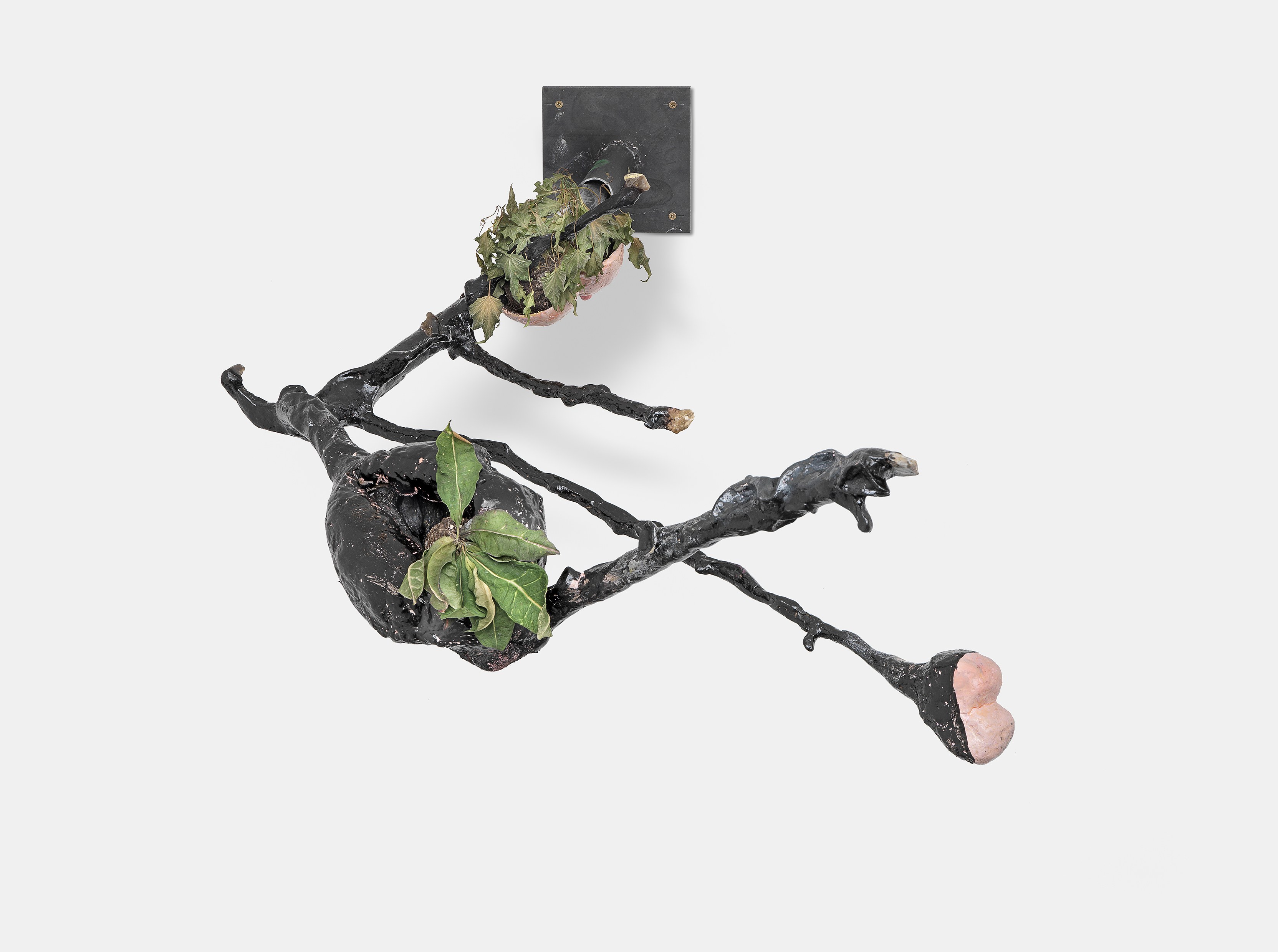 Laure Prouvost, Dear dirty dark drink drift down deep droll (in der dole) at Carlier Gebauer, photo 15